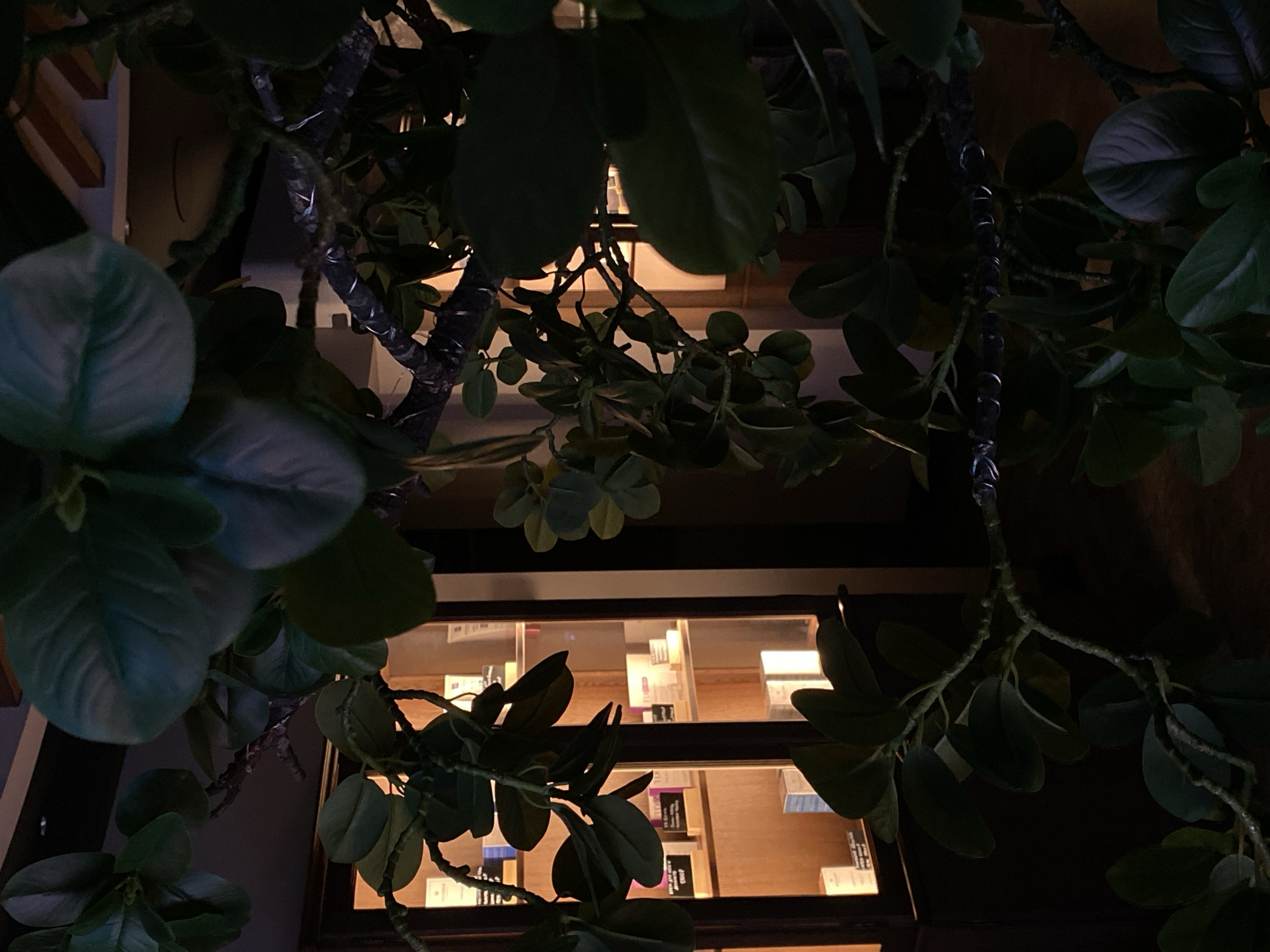 The image appears to be taken from the exterior of a shop, likely a perfumery, in Votkinsk, Russia. The view is obscured by artificial foliage, specifically branches with leaves, creating a framed effect. Through the window, illuminated shelves are visible, displaying various perfume or cosmetic products arranged in rows. The interior is warmly lit, contrasting with the darker foreground of the foliage. The overall mood is intimate and suggestive, with the framing adding depth and a voyeuristic quality. There are no visible people in the image.