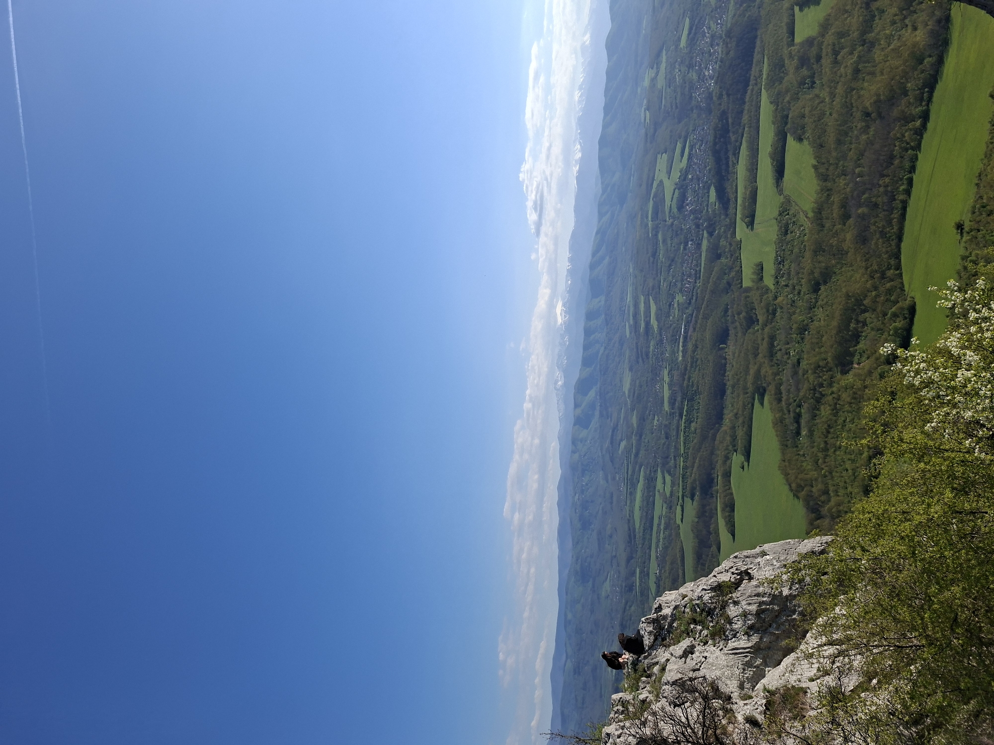 The image depicts a view from the top of a cliff in Zdravkovets, Bulgaria. In the foreground, there is a rocky cliff edge with vegetation, including trees and shrubs. Two birds are perched on the rock. In the distance, a landscape of green fields and forests stretches out. The horizon is marked by mountains and a partly cloudy sky, and a plane trail is visible across the sky.