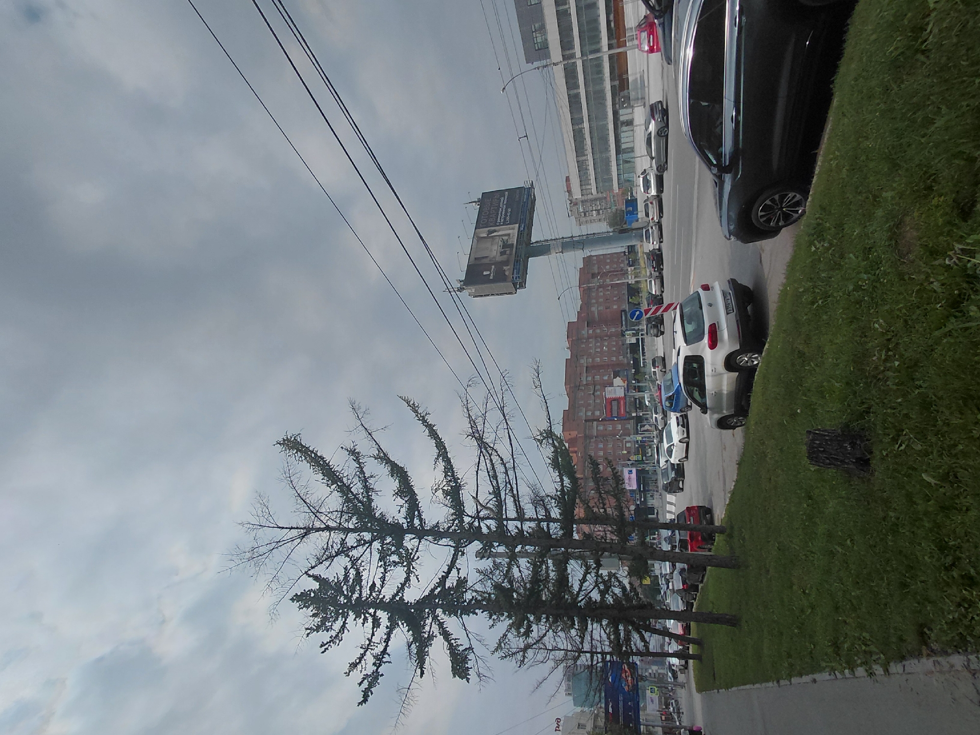 The image depicts a street scene in Novosibirsk, Russia, under a cloudy sky. In the foreground, a grassy verge with a tree stump is visible, bordered by a sidewalk. Several trees, appearing bare in some branches, stand along the verge. A busy multi-lane road runs parallel to the verge, with a significant amount of vehicular traffic. Cars of various colors and models are present, including a white SUV, a dark-colored SUV, and a red car. Buildings line the opposite side of the road, including apartment complexes and a modern building with a glass facade. A large billboard is mounted on a tall pole above the buildings. Power lines are strung across the upper portion of the image. The overall impression is one of an urban environment with moderate traffic and overcast weather.