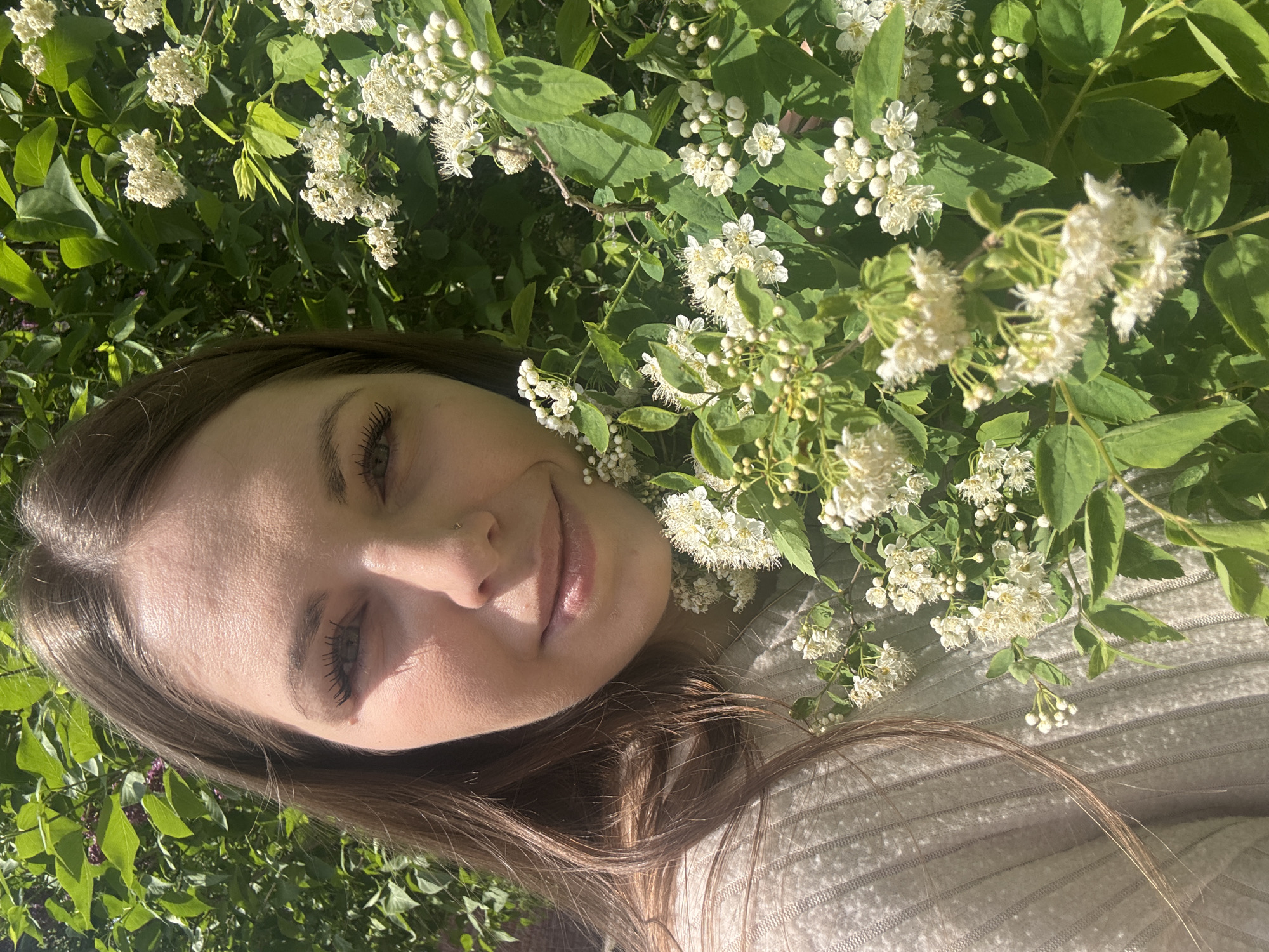 A woman is lying in a patch of flowering shrubs. The woman is light-skinned with brown hair and is wearing a light-colored sweater. The flowering shrubs have green leaves and small white flowers. The location is not discernible.