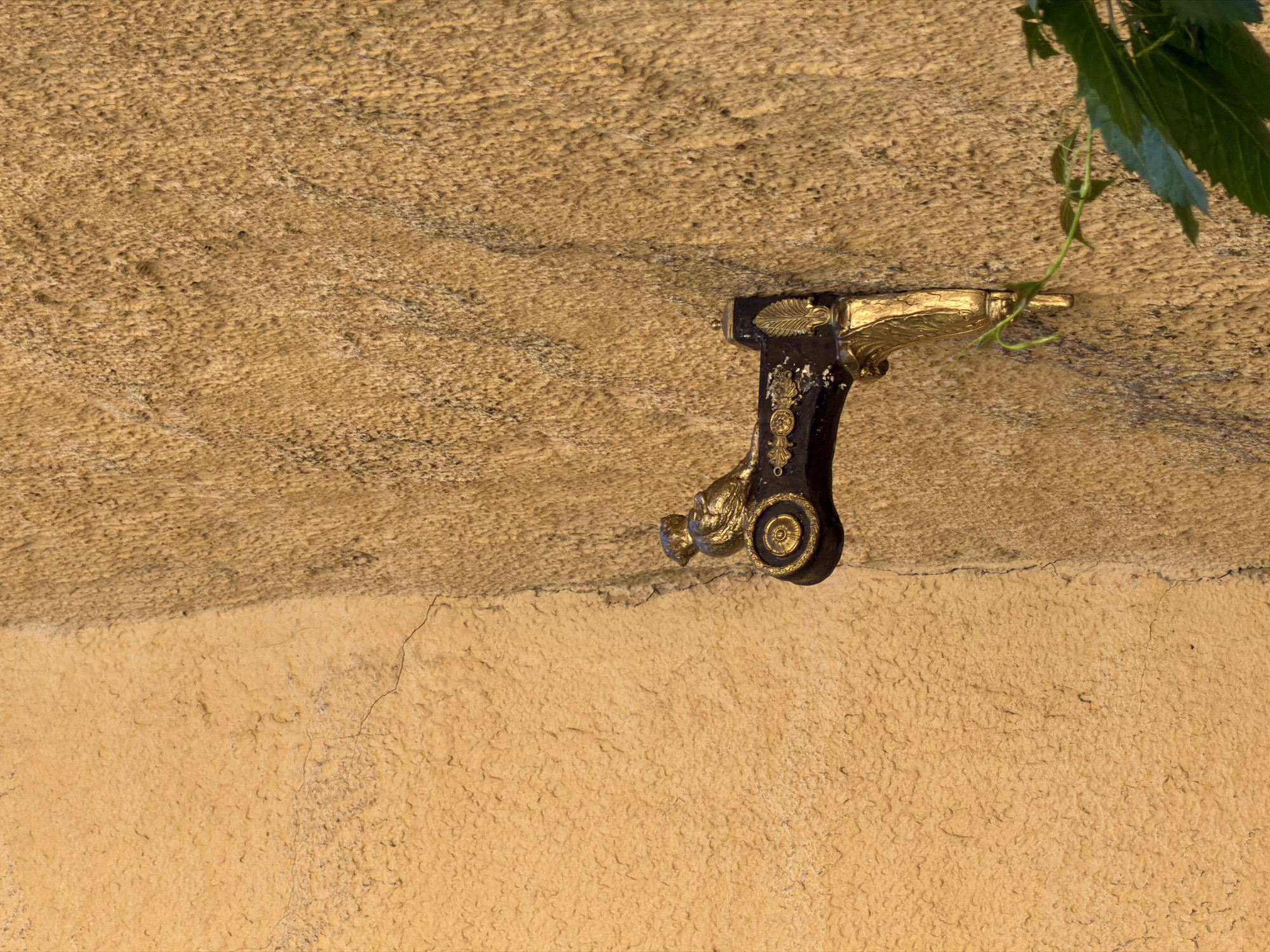 A close-up, low-angle shot captures a weathered, ochre-colored wall. The wall's surface is textured, with some areas appearing smoother and others rougher, suggesting age and exposure to the elements. A distinct vertical crack runs down the center of the image, separating two sections of the wall with slightly different textures and hues. Affixed to the rougher, right-hand side of the wall is a decorative, dark-colored bracket with ornate golden accents. The bracket is shaped like a stylized bird perched on a circular embellishment. Further down, a golden, acanthus leaf-like ornament extends downwards. A slender green vine with small leaves grows from the lower right portion of the bracket, extending downwards and to the right, suggesting it's part of a larger plant. The lighting suggests it is daytime, with shadows cast by the bracket and vine.