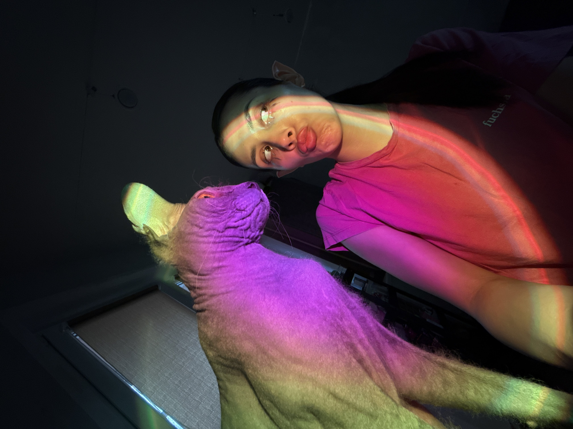A woman is looking down at a Sphynx cat in a low-angle shot with rainbow light shining across them. The woman has dark hair and is wearing a pink t-shirt with some text on it. Her face is slightly contorted into a pout. The cat is in the foreground, looking up at the woman. A window with closed blinds is visible in the background. The lighting is dim overall except for the rainbow effect. There is no indication of the city of Votkinsk, Russia or any other specific location in the image.