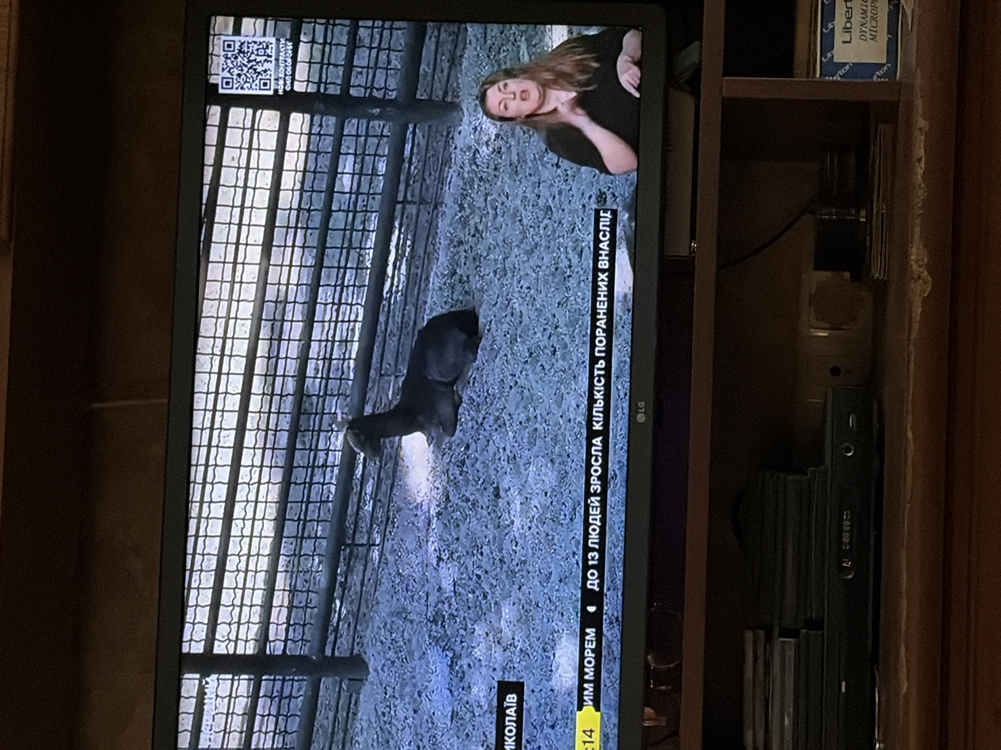 In the foreground, a dark-colored television screen displays a news broadcast. On the left side of the screen, a caption reads "МИКОЛАЇВ", indicating the city of Mykolaiv. Below this, another caption in yellow text states "14 ИМ МОРЕМ". To the right of this, the text continues with "ДО 13 ЛЮДЕЙ ЗРОСЛА КІЛЬКІСТЬ ПОРАНЕНИХ ВНАСЛІДОК".
The main content of the broadcast shows an enclosure with a fence in the background. A dark-colored animal, possibly a deer or antelope, is lying down on the ground within the enclosure. To the right of the animal, a woman with long, light brown hair is visible, appearing to be a sign language interpreter. She is wearing a black shirt and her hands are in a gesturing position. A QR code is displayed in the top right corner of the screen.
Below the television screen, a wooden shelf holds various items, including a stack of DVDs or CDs and a black electronic device with a display. Further down, another shelf contains a box with blue packaging labeled "Liberty" and "DYNAMIC MICROPH".