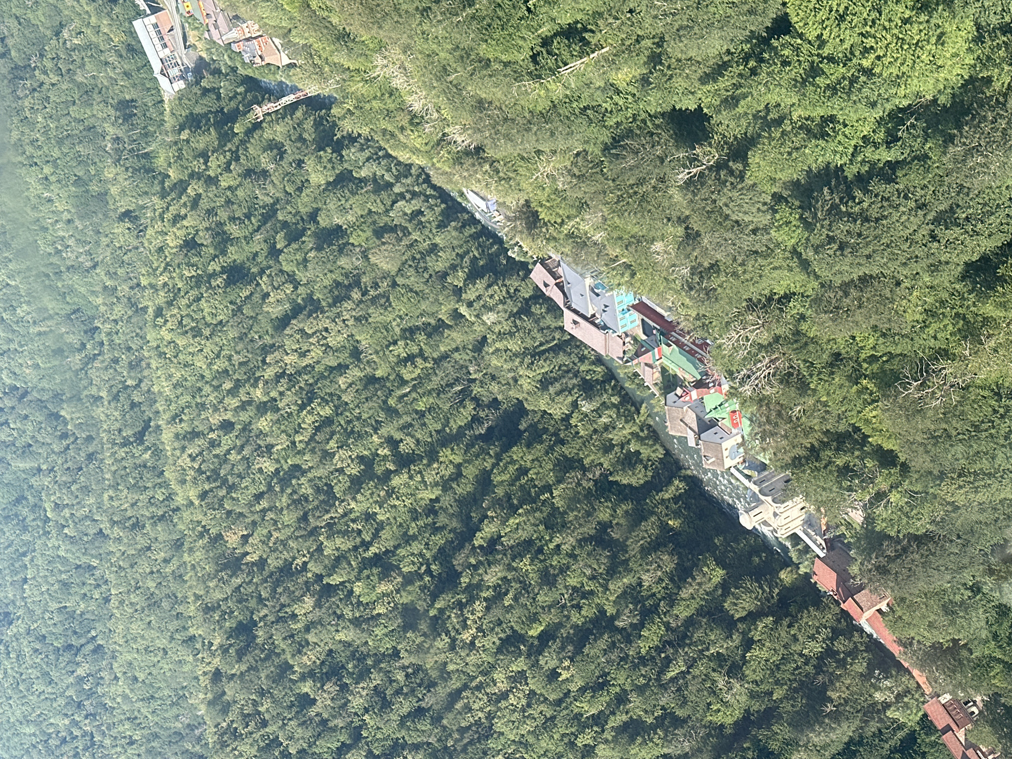 This aerial view shows a densely forested mountainous region near the city of Estosadok, Russia. A river cuts through the landscape, with a cluster of colorful buildings nestled along its banks. The architecture is varied, with some structures appearing older and more traditional, while others are brightly colored and modern. A prominent bridge or observation deck is visible spanning the river, and a large, modern building complex is situated further up the slope. The forest canopy is lush and green, indicating a temperate climate. There are no visible people in the image, but the presence of buildings and infrastructure suggests human habitation and activity in the area. The scene is dominated by the natural environment, with the human-made structures appearing as small intrusions into the vast wilderness.