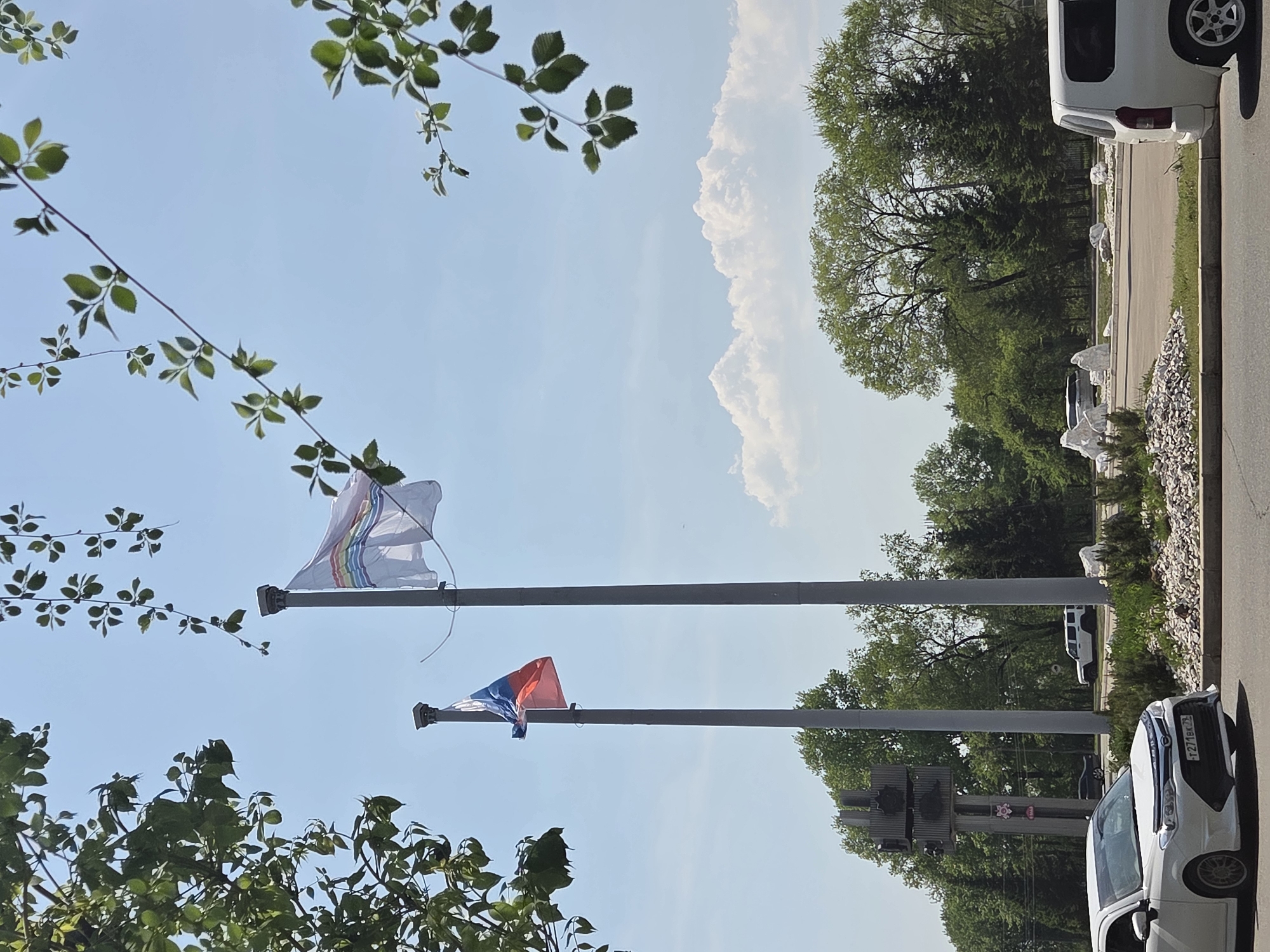The image features a scene in Birobidzhan, Russia. Two flags are visible in the foreground against a blue sky with some clouds. One flag is white with a rainbow stripe, and the other is a Russian flag. Trees and vegetation surround the flagpole, and parked cars line the street in the background. Other trees and buildings are present in the distance.