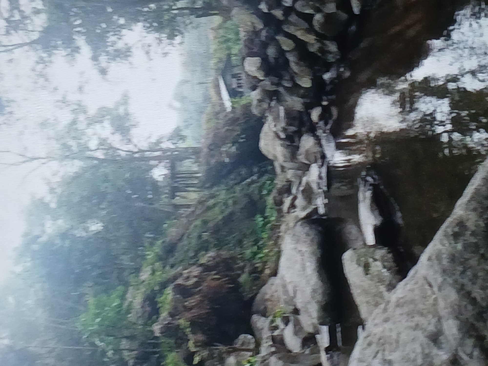 A stream flows through a rocky, forested area. The water is dark and reflects the surrounding trees and sky. Large, grey rocks are scattered along the banks of the stream and in the water. The forest is dense with green foliage and tall trees. In the background, a small, wooden structure, possibly a gazebo or hut, is visible amongst the trees on a rise. The image appears to be taken on an overcast day, as the light is diffused and the overall mood is somewhat muted. There are no people or animals visible in the image. The scene evokes a sense of natural tranquility and seclusion.