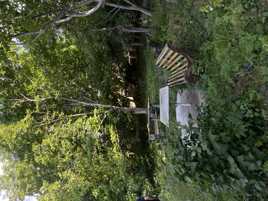 A wooded area with dappled sunlight filtering through dense trees. In the foreground, lush green foliage obscures the lower part of the frame. A table and matching benches sit on a concrete slab, appearing slightly overgrown. Beyond, a decorative park bench adds to the serene scene. A narrow path leads into the shadowy depths of the woods.