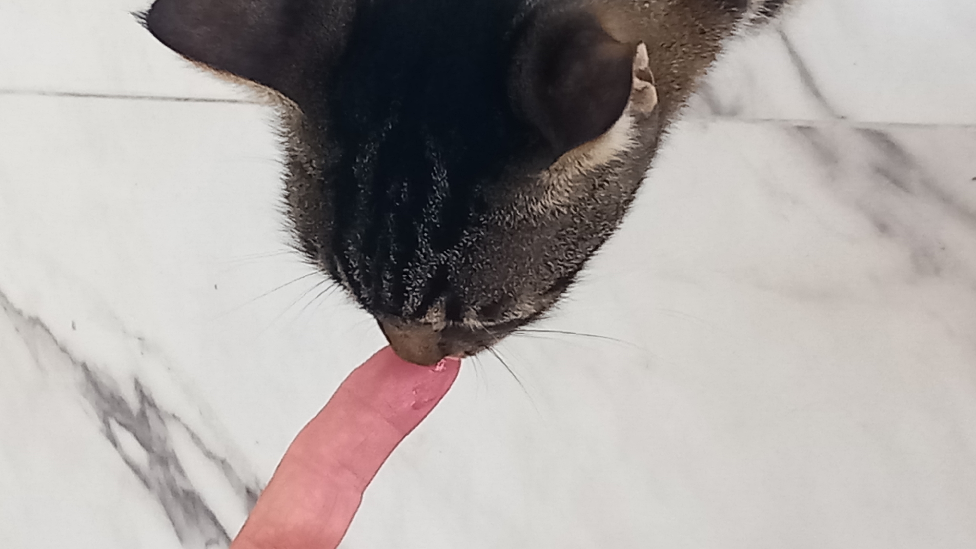 A close-up shot shows a human finger lightly touching the nose of a tabby cat. The cat's head is in profile, facing left, with its eyes closed. The cat has dark brown and black stripes on its fur. The finger is pink and has visible skin texture. The background is a white marble surface with subtle gray veining, typical of interior flooring or countertops. The lighting appears to be even, with no harsh shadows. The scene suggests a moment of gentle interaction between a human and a cat in a domestic setting, likely within a home or apartment in Άγιος Νεκτάριος, Greece, where such marble surfaces are commonly used.