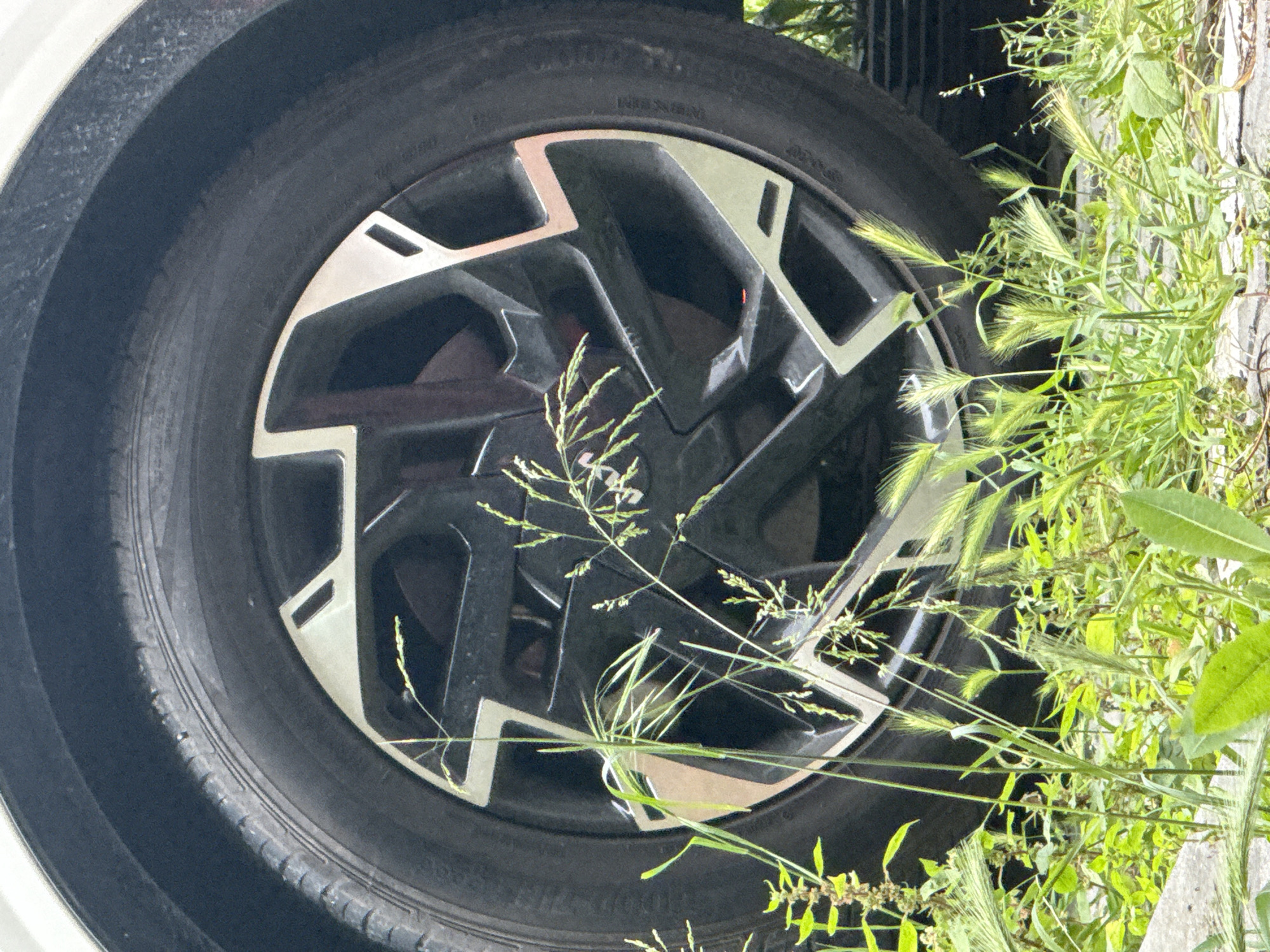 The image captures a close-up, slightly rotated view of a vehicle's tire and alloy wheel, set against a backdrop of dense, overgrown green grass and weeds. The scene appears to be outdoors, under bright daylight, in what could be an unpaved or roadside area in Varna, Bulgaria.
The wheel is a modern, multi-spoke design featuring a striking black base with prominent silver or light grey geometric accents that create an angular, almost zigzag pattern. Reflections are visible on the metallic surfaces of the wheel.
The tire is black rubber, and a portion of its sidewall is visible. Clearly discernible text on the sidewall indicates the brand "NEXEN" and what appears to be the model name "N'FERA". The tire shows signs of use but no obvious damage.
The surrounding environment is characterized by lush, tall green grasses and various weeds, some of which have developed seed heads. This vegetation is thick and partially obscures the tire and the lower half of the wheel, suggesting the vehicle may be parked in an area that isn't regularly maintained. No people or active events are depicted; the scene is static, focusing on the detail of the wheel and its immediate environment.