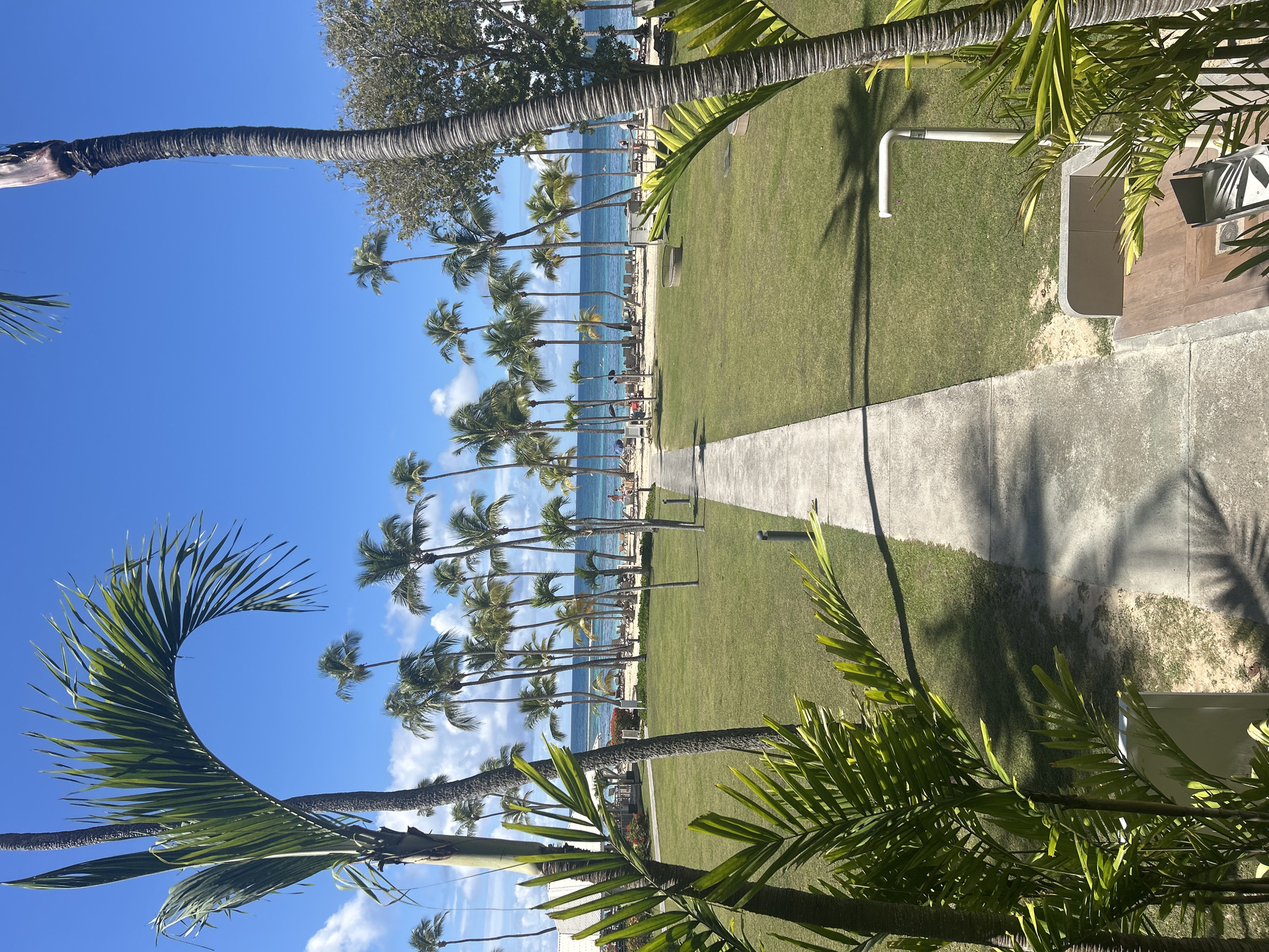 The image captures a tropical scene likely in Sainte-Anne, France, showcasing a pathway leading towards a beach. The composition is framed by palm trees in the foreground, with their fronds partially obscuring the view. A row of tall palm trees lines the beach, providing shade for beachgoers. The turquoise ocean is visible between the trees, and the sky is a clear blue with scattered clouds. A concrete path extends from the bottom of the frame towards the beach, flanked by well-manicured green grass. There is what appears to be a showerhead on the right side, near a small building. People are visible on the beach, seemingly relaxing on chairs or lounging on the sand. The overall impression is that of a sunny, tropical vacation spot.