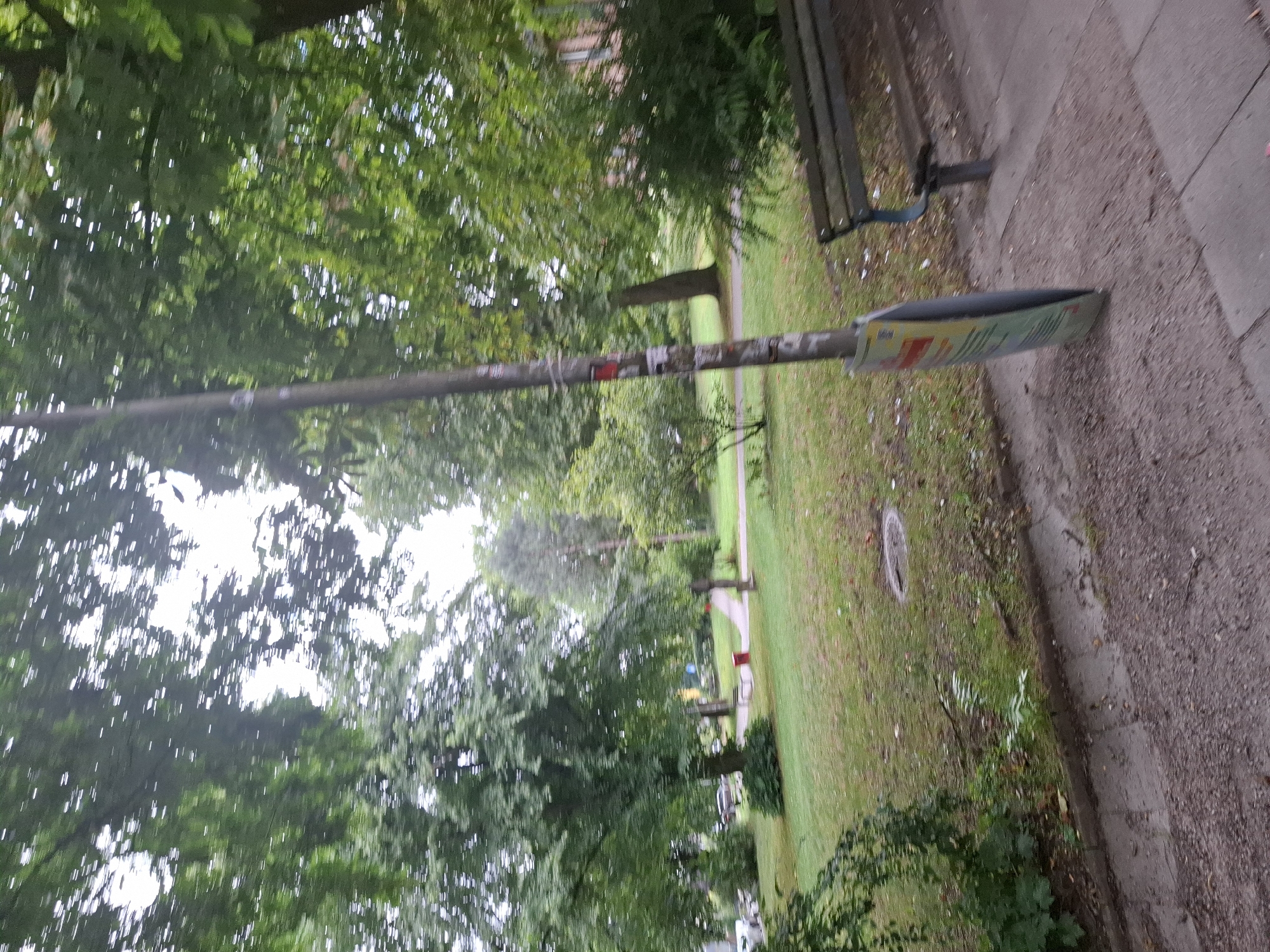 The image depicts a park scene in Hamburg, Germany. A light pole with stickers and a bent advertisement sign stands in the foreground, slightly off-center to the right. To the right of the pole is a wooden park bench with metal supports. Beyond the bench and pole, a grassy area with scattered leaves and a manhole cover is visible. Further into the park, a paved path winds through the greenery, with a red trash can and trees in the background. In the distance, cars are parked on the left, and a building is partially visible on the right. The trees are lush and green, indicating it is likely springtime or summer. The overall impression is of a quiet, public park.
