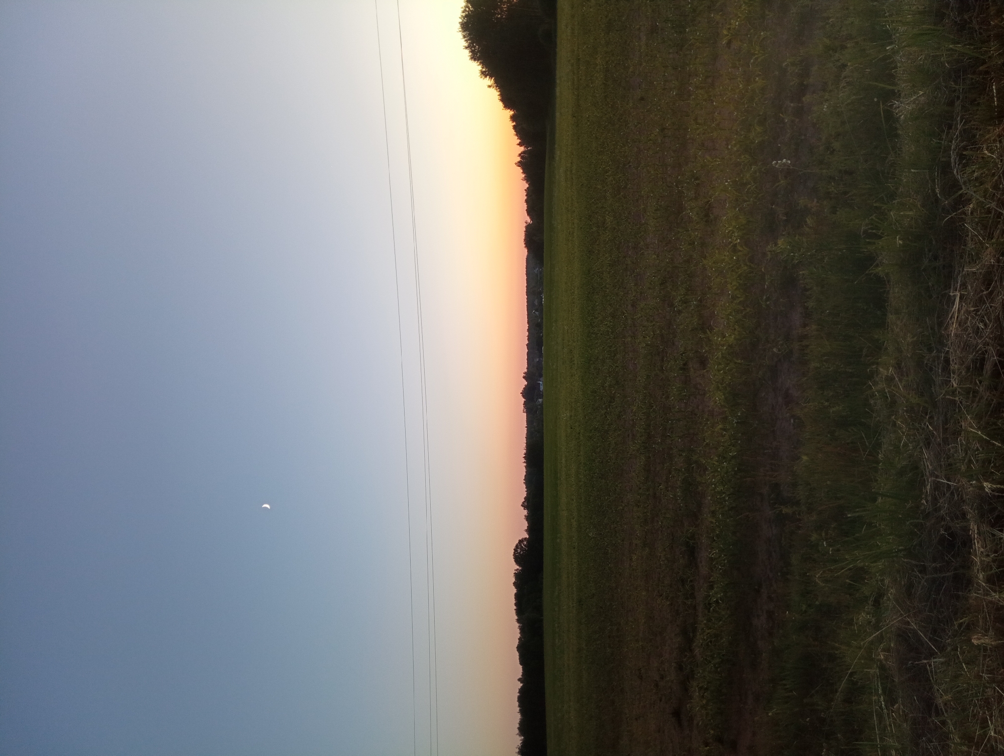 This is a photograph of a rural landscape at dusk. The sky is a gradient of soft blue at the top, transitioning to a pale orange and pink near the horizon. A crescent moon is visible in the upper left quadrant of the sky. A thin line of trees forms a dark silhouette across the mid-ground, separating the sky from a wide, green field in the foreground. The field appears to be agricultural, with rows of young crops visible. In the far distance, beyond the treeline, a few scattered buildings are faintly discernible, suggesting a small settlement. Two parallel power lines stretch horizontally across the upper portion of the frame, above the treeline. The bottom edge of the image shows a darker, less defined area of grass and debris. The scene is peaceful and suggests the end of a day in the countryside. The location is Палыкавіцкі сельскі Савет, Belarus.