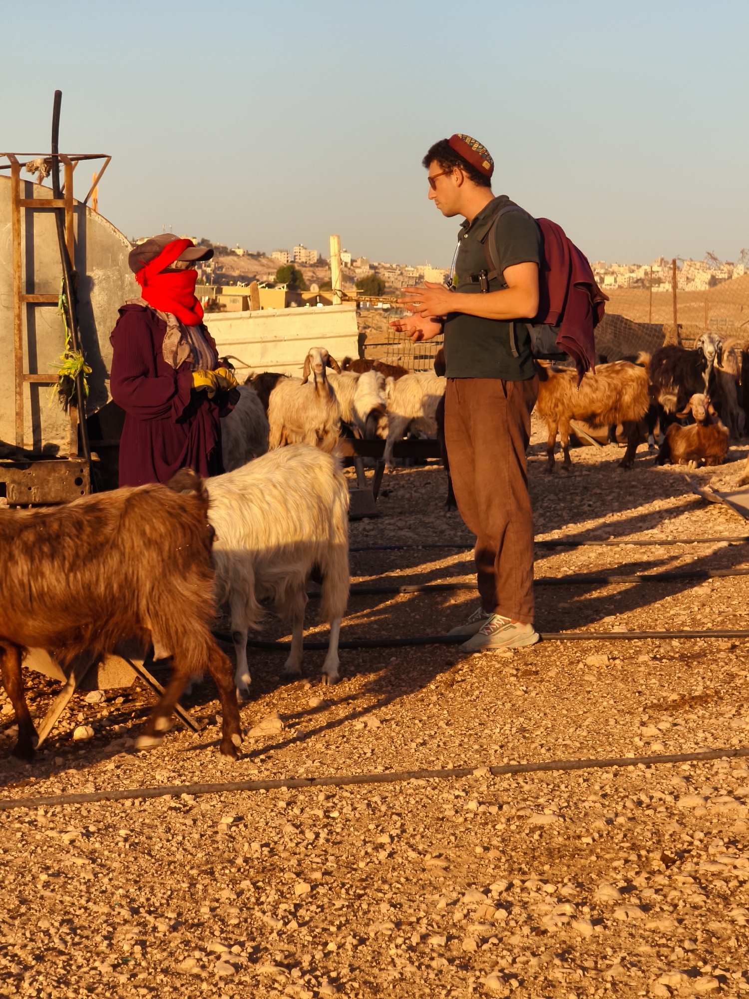 In Keidar, Palestinian Territories, two individuals are present in an outdoor, dusty environment characterized by a scattering of gravel and pebbles. The scene features several goats, some of which are light-colored and fluffy, while others are brown and shaggier.
On the left, a person stands with their back partially turned to the camera, wearing a dark purple, long-sleeved garment, a red scarf that covers their face and head, a grey baseball cap, and yellow gloves. They are positioned near a metal structure with a dark pole extending upwards.
On the right, a person wearing a dark green polo shirt, brown trousers, a kippah, and sunglasses is facing the first individual. They have a dark backpack with a maroon garment draped over it. Their hands are raised and gesturing. Behind them, more goats are visible, along with fencing and buildings in the background, suggesting a semi-urban or rural settlement. The lighting suggests it is late afternoon or early evening, with long shadows cast across the ground.