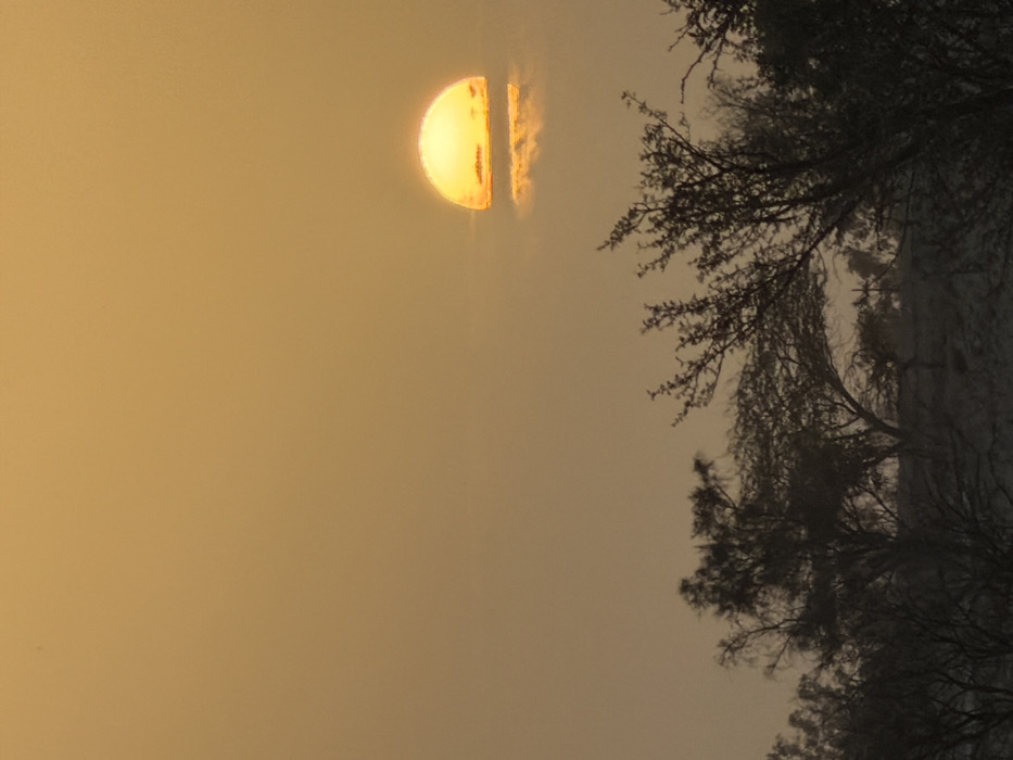 The image displays a hazy, warm-toned outdoor scene oriented vertically. The left side of the frame is dominated by a uniform, soft golden-orange sky, suggesting either early morning or late evening light. On the far left, a prominent, intensely bright half-disk of the sun is visible. Its luminous golden-yellow surface is sharply defined, with its flat edge running vertically down the center of the solar disk. To the immediate right of this half-sun, and slightly separated from it, is a distinct, elongated, vertical streak of glowing golden light. This could be a thin cloud formation or an atmospheric phenomenon intensely illuminated by the sun, appearing almost as a detached, shimmering segment of the sun itself.
The right side of the image is filled with the dark, silhouetted forms of tree branches and sparse foliage. These trees appear as intricate, gnarled networks of dark lines and shapes against the bright, hazy background. Some areas show denser clusters of leaves or needles, while others consist primarily of bare branches. The composition creates a strong contrast between the vibrant, hazy light of the sky and the dark, static silhouettes of the vegetation.
No specific activities, people, or text are visible. The overall mood is tranquil and somewhat ethereal, characterized by the monochromatic golden light and the dramatic backlighting of the trees. If viewed rotated 90 degrees counter-clockwise, the scene would depict a sunrise or sunset, with the sun appearing low on the horizon in the upper left of the frame, and the trees framing the scene along the bottom and right. The atmospheric haze suggests conditions like fog, dust, or a smoky sky contributing to the diffused and warm coloration.