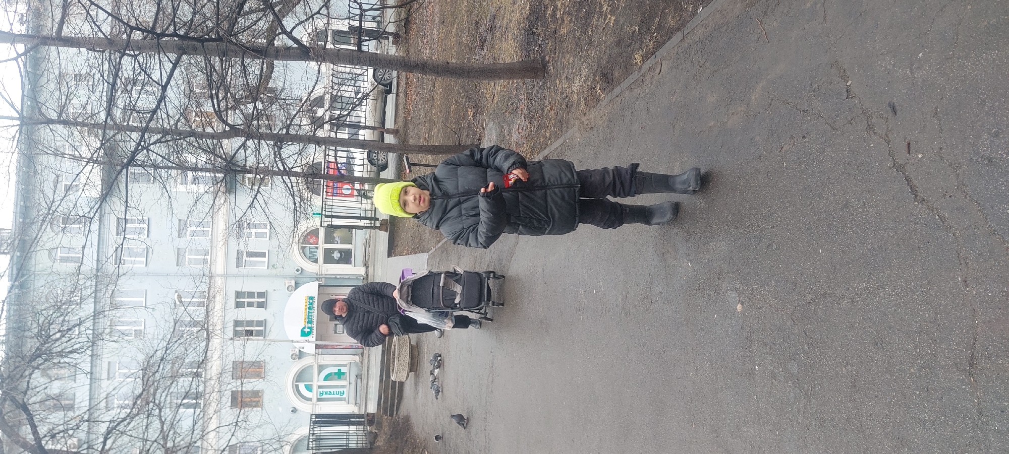 A medium shot of a sidewalk scene in Novosibirsk, Russia. The setting is an urban environment, likely a street, with buildings visible in the background. The sidewalk is grey and appears damp.
Centered in the frame, a young person wearing a bright yellow beanie, a dark puffer jacket, dark trousers, and dark rubber boots stands facing the camera. They hold something small in their hand, possibly candy. Slightly behind and to the left of the child, a man is pushing a black stroller. The man wears a dark jacket and beanie. The child and the man are together. They are walking along the sidewalk.
In the background, a multi-story light blue building with numerous windows. Bare tree branches fill the upper portion of the frame, suggesting it is late fall or winter. A sign with the word "Apteka" (Pharmacy) is on the lower level of the building. In the bottom center, there are several pigeons on the sidewalk.