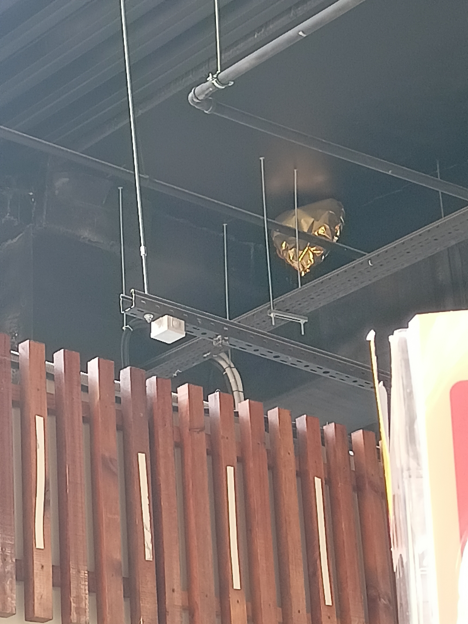 An indoor scene in Novosibirsk, Russia shows a potentially dangerous situation. A large, gold-colored object, possibly a deflated balloon or decoration, is lodged amongst pipes and a metal support structure on a dark ceiling. Below the ceiling, a series of wooden slats are visible, partially obscuring objects in the foreground. The scene lacks people.