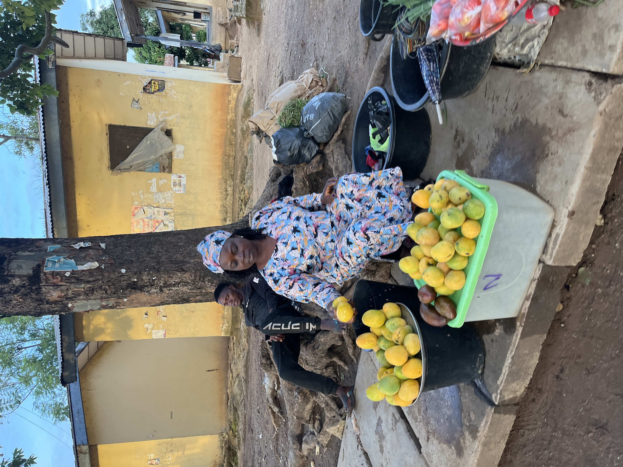 The image shows an outdoor scene in Rafin Par, Nigeria, centered around street vending activity. In the foreground, a woman wearing a vibrant, multicolored patterned dress and a matching headscarf is either sitting or lying down on a raised stone or concrete slab. Her right hand is extended, holding a yellow-green mango, with a large black bucket full of similar mangoes positioned next to her.
Beside her, a young man sits on the unpaved ground, dressed in a black long-sleeved shirt and black trousers, looking downwards. The text "ACUCIM" is visible on the side of his trousers.
The primary goods for sale appear to be fresh fruits, mainly yellow-green mangoes, displayed in a light-green plastic crate and at least two black buckets. Other items for sale or storage include black plastic bags and bundles of leafy greens, arranged near the woman and the man.
A prominent feature in the background is a large tree trunk. Behind this, several simple buildings with yellow-painted walls and corrugated metal roofs are visible. The walls are adorned with various torn and faded posters or flyers. The ground around the vendors is unpaved and appears to be bare earth. A purple "N" is marked on the side of the green plastic crate holding mangoes. The scene is illuminated by natural daylight, suggesting it is daytime. The overall setting depicts a local market or roadside stall.