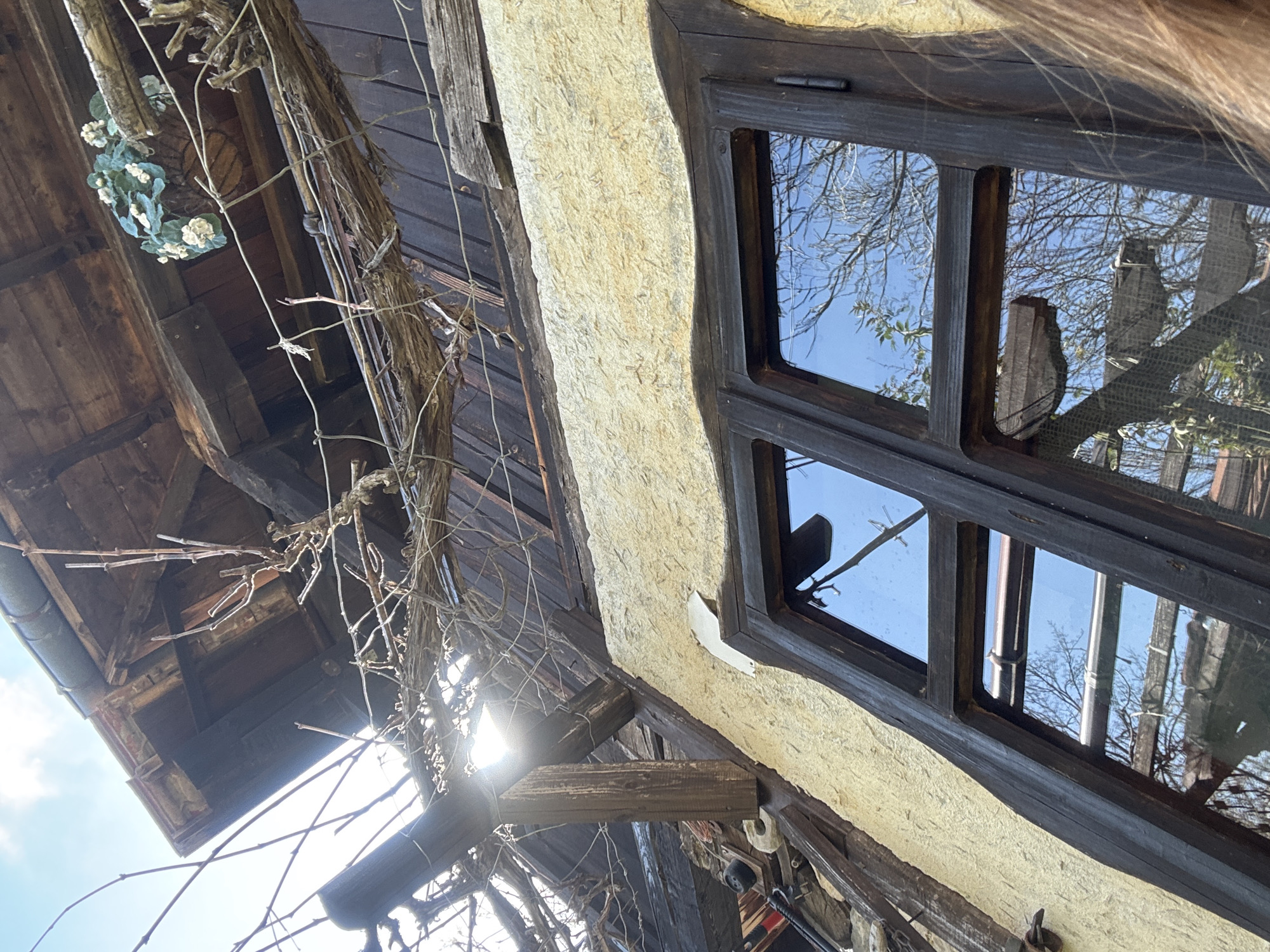 A low-angle shot shows a structure, likely a building, with a window reflecting a sky with trees. The building features wooden planks, a textured light-colored exterior, and an overhanging roof with vines and branches. A small, decorative floral arrangement is visible on the roof. The window has a dark frame and multiple panes. The location is Gorno Trape, Bulgaria.