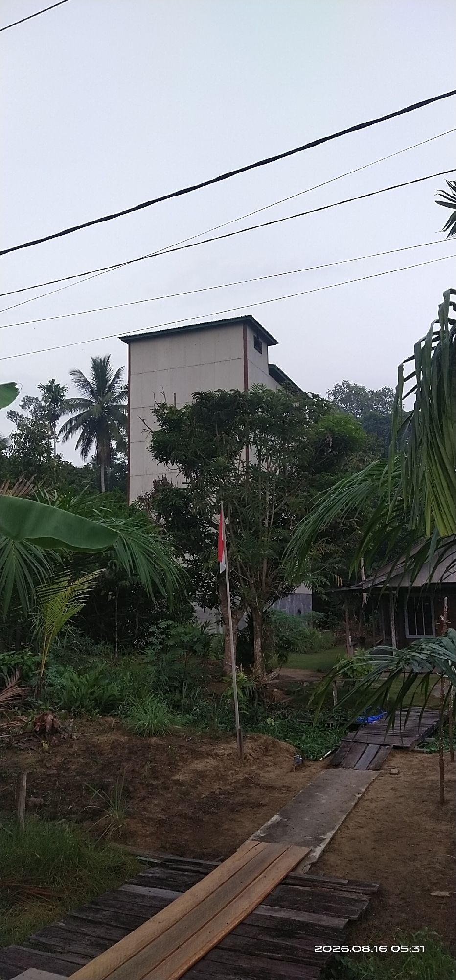 The image depicts an outdoor scene in what appears to be a rural or semi-rural area, possibly in Muka Haji, Indonesia. The sky is overcast. In the background, a multi-story building with a light-colored facade and a dark roof stands out amidst lush green vegetation. A palm tree is visible to the left of this building. In the foreground, a wooden pathway leads towards the building, crossing over a muddy area. There is also a concrete path adjacent to the wooden one. To the right of the image, a small, dark wooden structure with a window is partially visible. A flag, predominantly red and white, is planted on a pole in front of the building. Various types of trees and plants fill the space between the structures and pathways. Power lines are visible crossing the top of the frame. A timestamp in the lower right corner reads "2026.08.16 05:31". There are no people visible in the image.