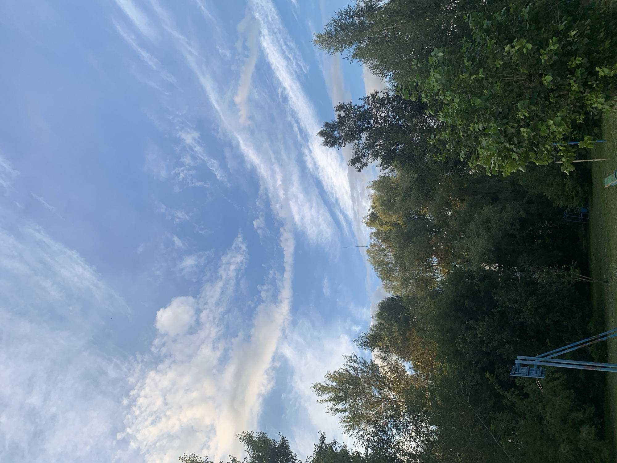 The image depicts a wide-angle outdoor scene with a focus on the sky and trees. The sky is a dominant element, filled with a mix of blue expanse and wispy white clouds that appear streaky and elongated, suggesting wind activity. There are also some larger, more defined cumulus clouds scattered across the upper portion of the frame.
Below the sky, a dense line of trees forms the horizon. The foliage is a variety of greens, ranging from deep, dark shades in the shadows to lighter, sunlit tones. The trees appear to be mature, with varying heights and densities, creating an uneven treeline. In the lower foreground, there is a grassy area. Partially visible within the trees on the left is a blue metal structure that resembles a basketball hoop stand, though the hoop itself is missing. A hint of another blue structure, possibly a swing set, is visible further in the background amongst the trees. The overall lighting suggests it is either late afternoon or early evening, with sunlight filtering through the leaves in some areas and casting shadows in others. There are no people visible in the image. The scene appears to be in a park or a natural area within a city, with elements of recreational infrastructure present.