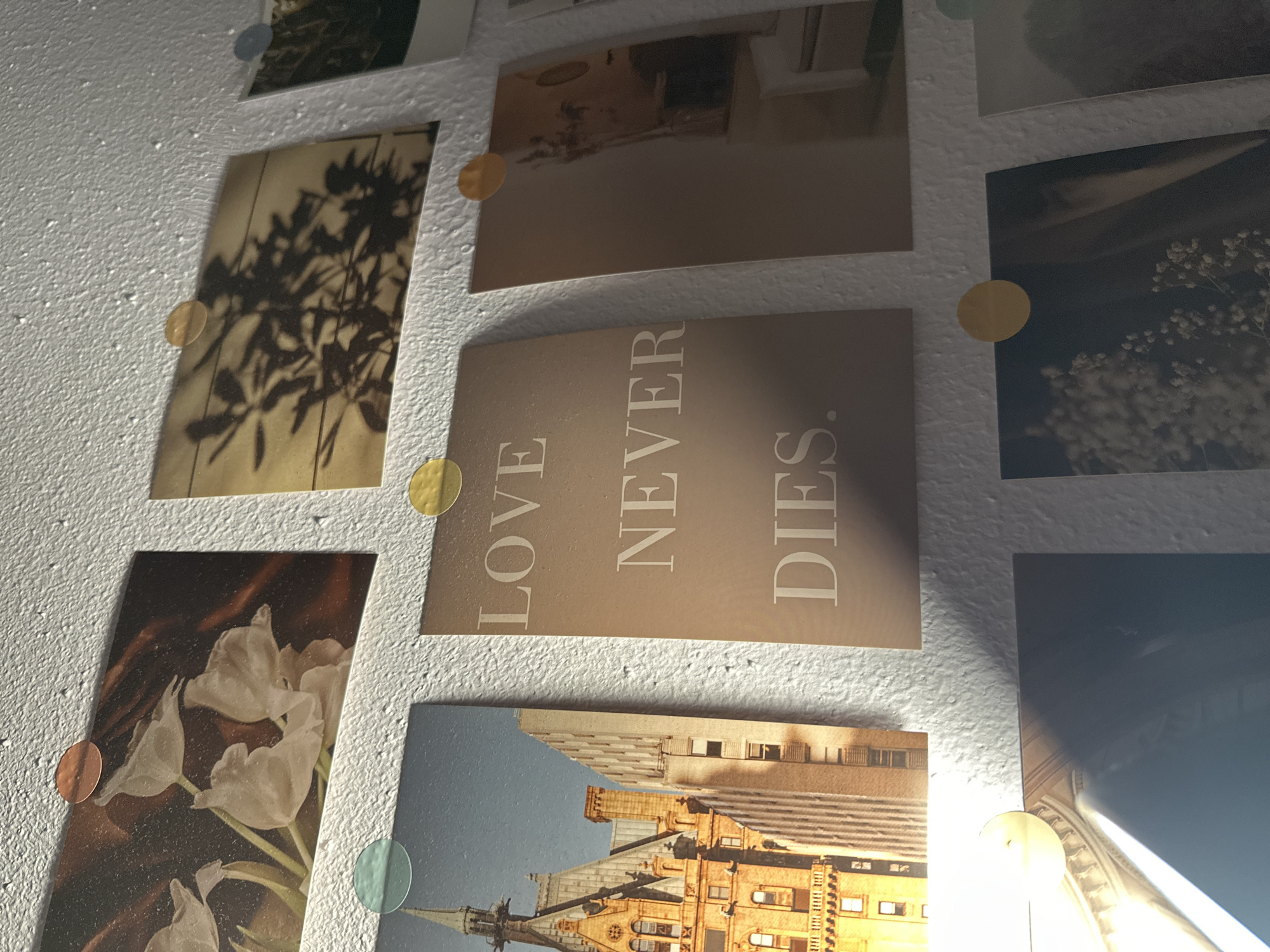 The image presents a close-up, low-angle view of a textured white wall, possibly stucco or popcorn, adorned with a collage of rectangular prints or postcards. Several prints of varying sizes and orientations are attached to the wall using small, round, translucent adhesive stickers in colors such as yellow-gold, light blue, and reddish-orange.
At the focal point, a vertical, light brown-beige print displays the text "LOVE NEVER DIES." in a classic serif font, stacked vertically over three lines. Surrounding this, other prints depict diverse subjects. To the immediate left, a vertical sepia-toned print features dark, dramatic silhouettes of leafy branches against a lighter background. Below this, a dark, moody vertical print showcases delicate white flowers, possibly tulips, against a warm, dark background. Below the central text print, another vertical image depicts an ornate building with a spired roof against a clear sky. To the right of the central text, a dark blue-grey print features clusters of small white flowers, resembling baby's breath, against a shadowy background. Another print, partially visible above the text, suggests an indoor scene with soft, neutral tones.
The lighting is dim and atmospheric, suggesting an indoor setting with artificial light sources. Bright glares and reflections are visible, particularly on the lower right prints, illuminating the wall's texture. There are no people or active events; the scene is a static display of curated images, evoking a sentimental or aesthetic mood.