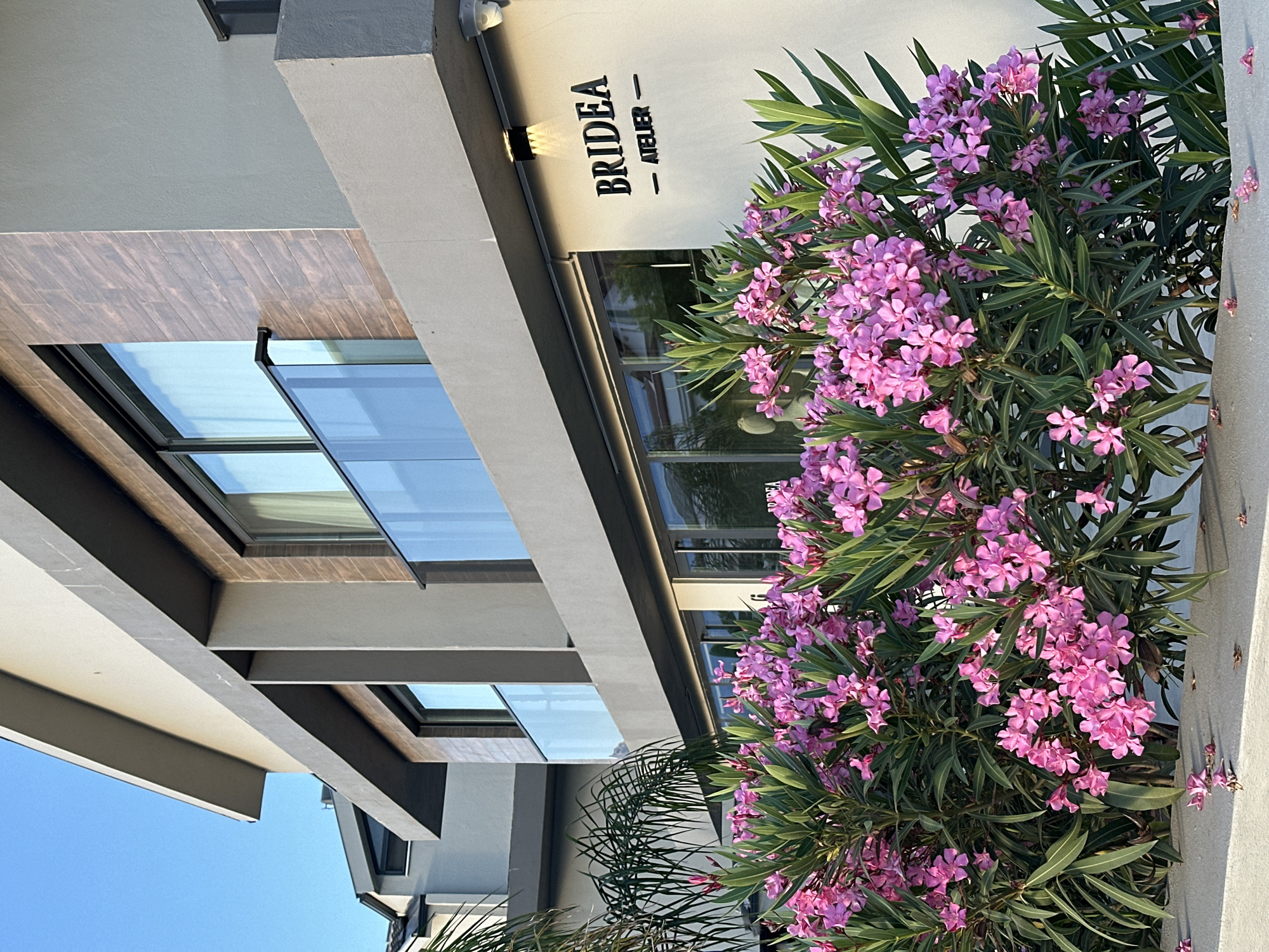 In Fethiye, Turkey, a modern building with a stucco facade and wood-paneled accents is visible. The building features large windows and balconies with glass railings. In the foreground, a lush bush with bright pink flowers and green leaves is in bloom. A sign on the building reads "BRIDEA - ATELIER." The sky is clear and blue, suggesting a sunny day.
