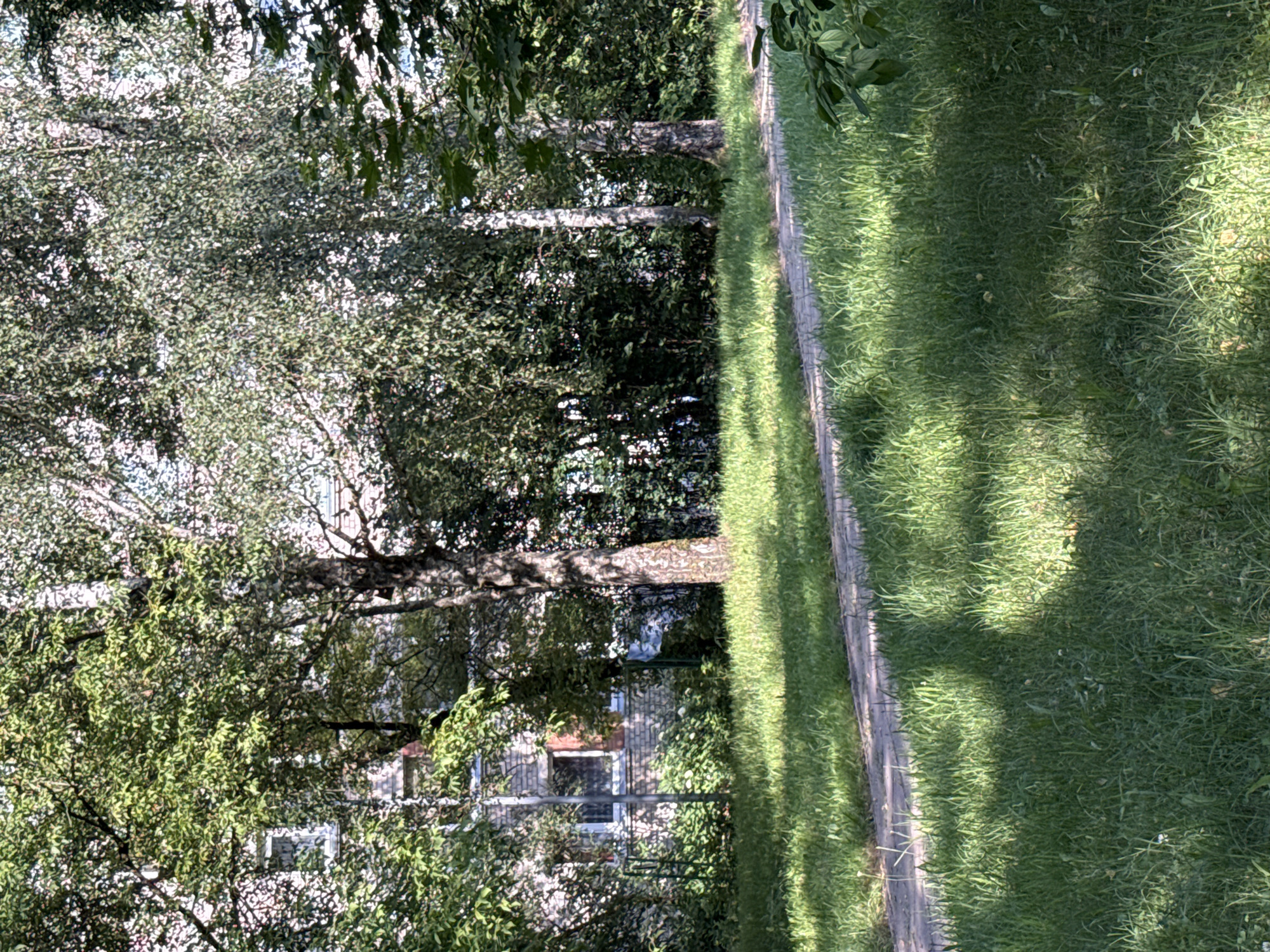 This is a photograph taken in Rudamina, Lithuania, on a sunny day. The image depicts a park-like setting with a paved walkway winding through lush green grass. Tall trees with dense foliage cast shadows on the grass and the walkway, creating a dappled light effect. In the background, a light-colored brick building with windows is partially visible through the trees. The overall scene is one of a tranquil outdoor environment, likely a residential area or public space. There are no people or animals present in the image.
