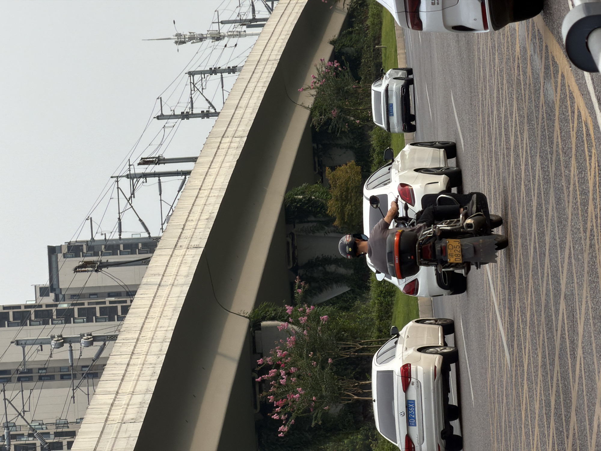 A motorcyclist, wearing a black helmet and dark clothing, rides a motorcycle with a yellow license plate that reads "D 0825J". The motorcycle has a black storage box on the back with "BEST" written on it. The motorcyclist is in motion on a multi-lane asphalt road with distinct yellow markings. Two white sedans are visible ahead of the motorcycle on the same road. The sedan on the left has a blue license plate that reads "D 236X1". The sedan on the right has a blue license plate that reads "A 927V1". The scene is set against a backdrop of a large, elevated concrete structure, likely an overpass or bridge, with electrical wires and poles extending from it. Beyond the overpass, several tall, modern buildings with a greyish facade are visible. Greenery, including trees and bushes, some with pink flowers, is present along the sides of the road and beneath the overpass. The sky is overcast. The image appears to be taken in Jiangjin District, Chongqing, China, based on the vehicle license plates.