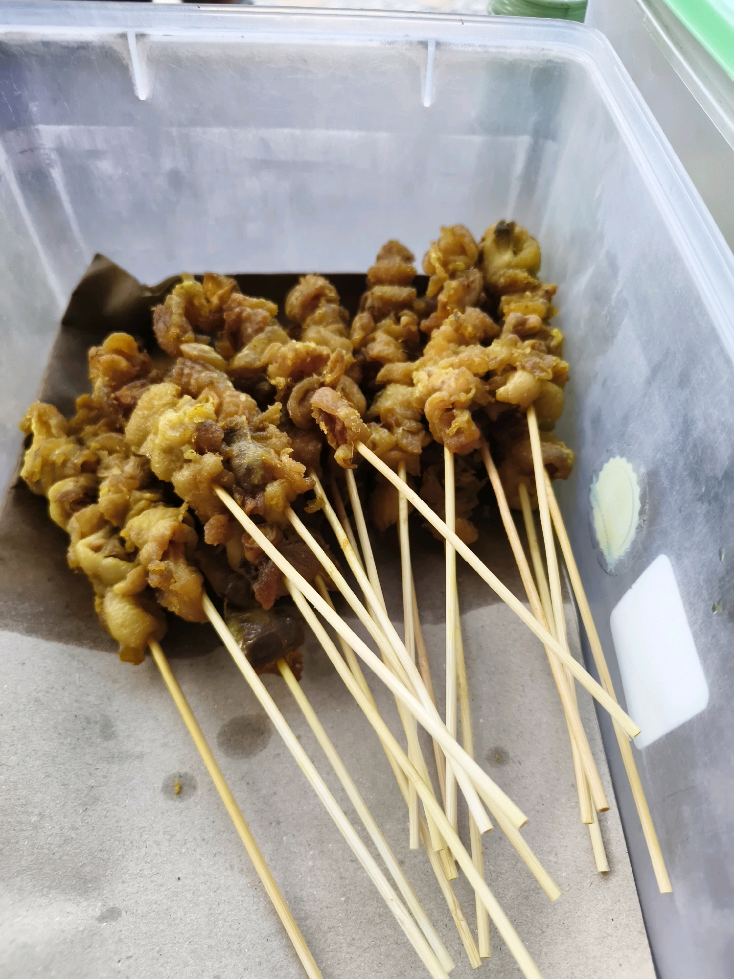 A close-up, high-angle shot shows a collection of fried chicken skewers arranged in a clear plastic container. The skewers are made of light-colored wood and are each laden with pieces of golden-brown, battered chicken. The chicken appears crispy and somewhat irregular in shape, with some pieces showing a darker, potentially more cooked, interior. The skewers are densely packed, with their wooden sticks fanning out at the bottom of the container. A piece of brown paper is visible beneath the skewers, likely to absorb grease. The container itself is transparent, allowing a view of its slightly smudged interior and a faint greenish hue from the surrounding environment. The background is out of focus but suggests a brightly lit, possibly outdoor, setting. No people are visible in the image, and the overall impression is one of food preparation or storage, common in a marketplace or food stall. There are no distinct landmarks visible that would specifically place this scene in Salira, Indonesia.