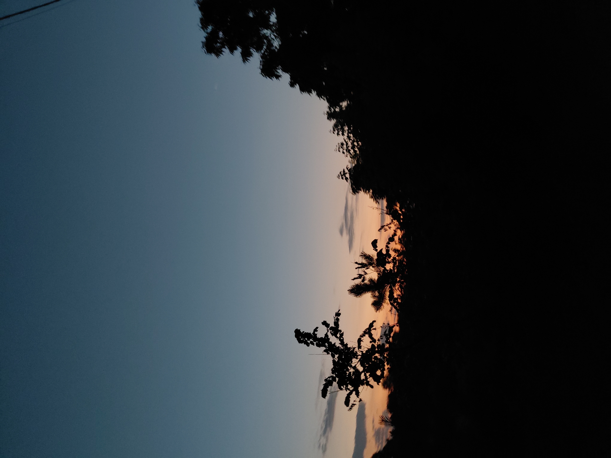 The image shows a silhouette of trees against a dusky sky. The sky is a gradient of deep blue at the top, fading into lighter blue and then a soft orange and pink hue near the horizon, indicative of either sunrise or sunset. There are a few wispy clouds visible in the lower part of the sky, catching the light from below. The foreground is completely black, obscuring any ground details, but the shapes of the trees suggest an outdoor setting, possibly a rural area or park. There is a thin, vertical line extending from the top right corner of the image, which could be a utility pole or wire. The overall scene is tranquil and atmospheric. The photograph was taken in the city of Ustyvytsia, Ukraine.