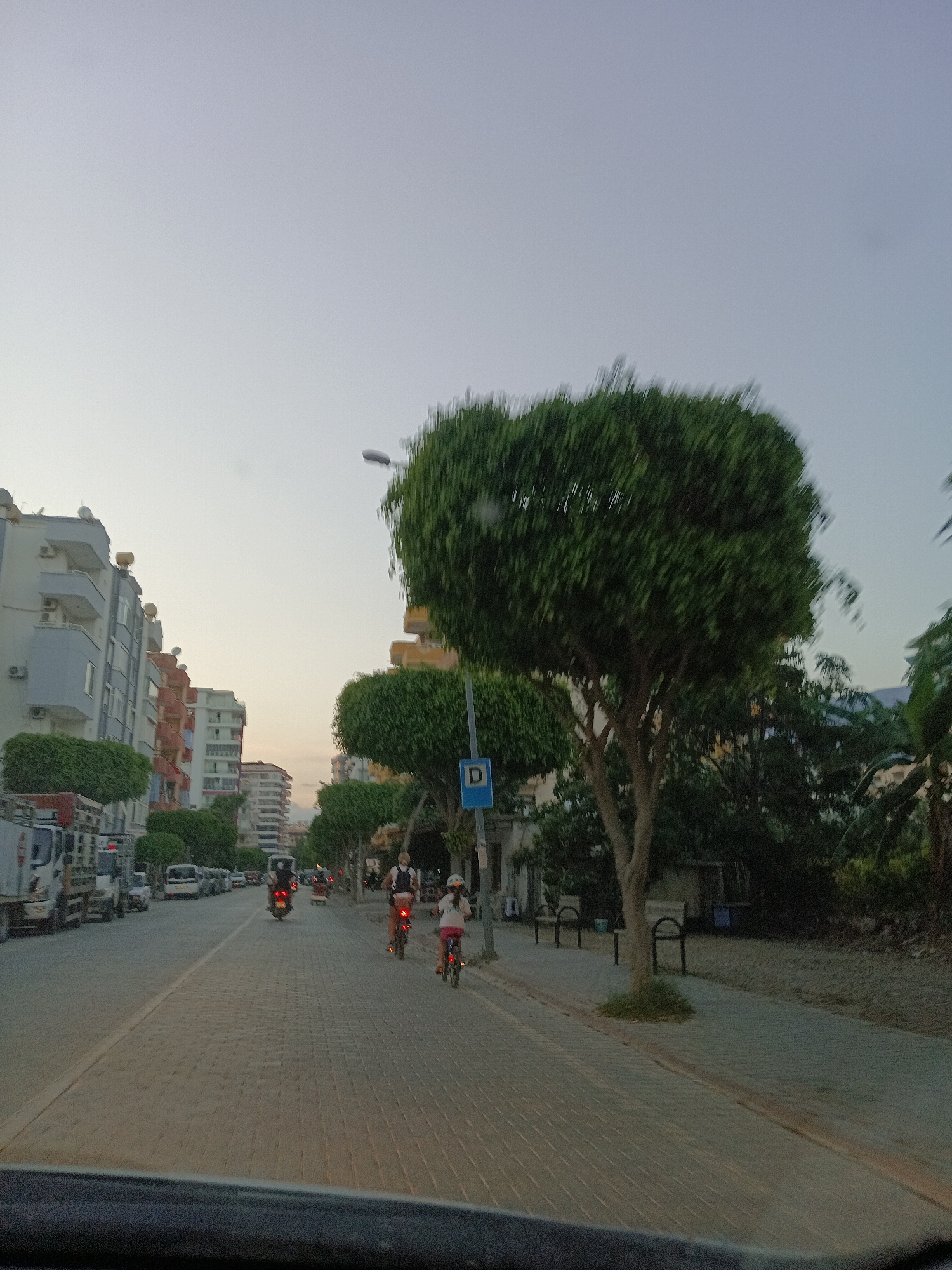This is a head-on, ground-level shot taken from a moving vehicle, likely a car, looking down a paved street lined with trees and buildings. The scene appears to be in Alanya, Turkey, judging by the architecture. The sky is a pale, hazy blue, suggesting either early morning or late evening.
On the left side of the street, several multi-story buildings with balconies and air conditioning units are visible. Some are white, while others have colorful accents. A white truck with a red stripe is parked on the far left.
The street itself is paved with rectangular stones. Several vehicles are present: a motorbike with a rider is heading away from the camera, and a second motorbike is further down the street. Two children on bicycles are also riding away from the camera, one with a white helmet and the other with a pink shirt. The trees lining the street are dense and green, with some appearing to be neatly trimmed. A blue sign with a white "D" on it is visible near the right side of the frame, indicating a parking restriction. The right side of the street has a sidewalk with benches and more trees, leading to more buildings in the distance. The overall impression is a typical urban street scene in a warm climate.