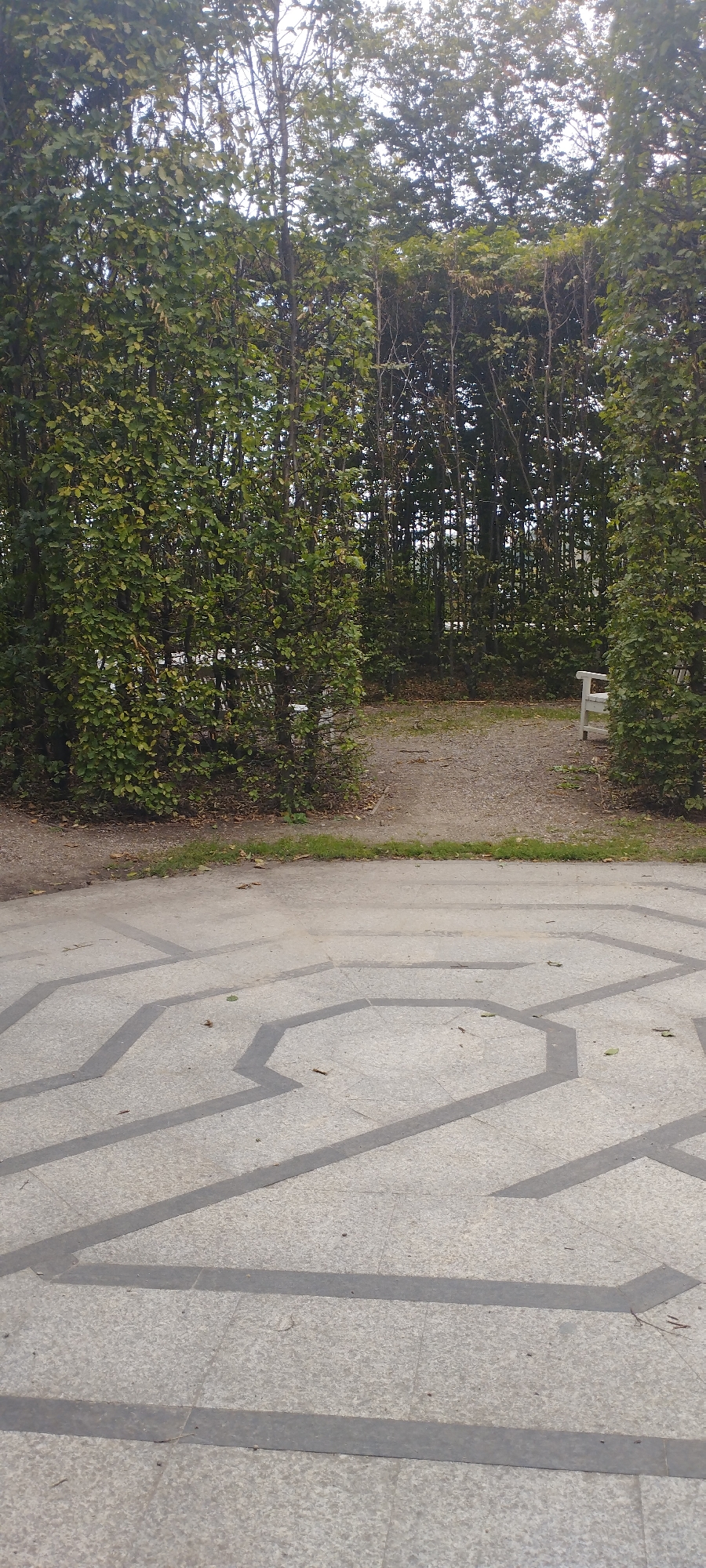 This image shows a view of a garden or park area with a maze-like pattern on the ground in the foreground and a hedge maze entrance in the background. The maze pattern on the ground is made of light gray granite tiles with darker gray inlay lines forming geometric shapes. The background features a well-maintained, dense green hedge maze with an opening in the center, revealing a path and a white bench on the right side. Tall trees line the edges of the opening. The scene suggests a tranquil outdoor recreational space. The image does not depict any specific location within Warsaw, Poland, or provide any discernible clues to its precise urban setting. There are no people or animals visible in the image.