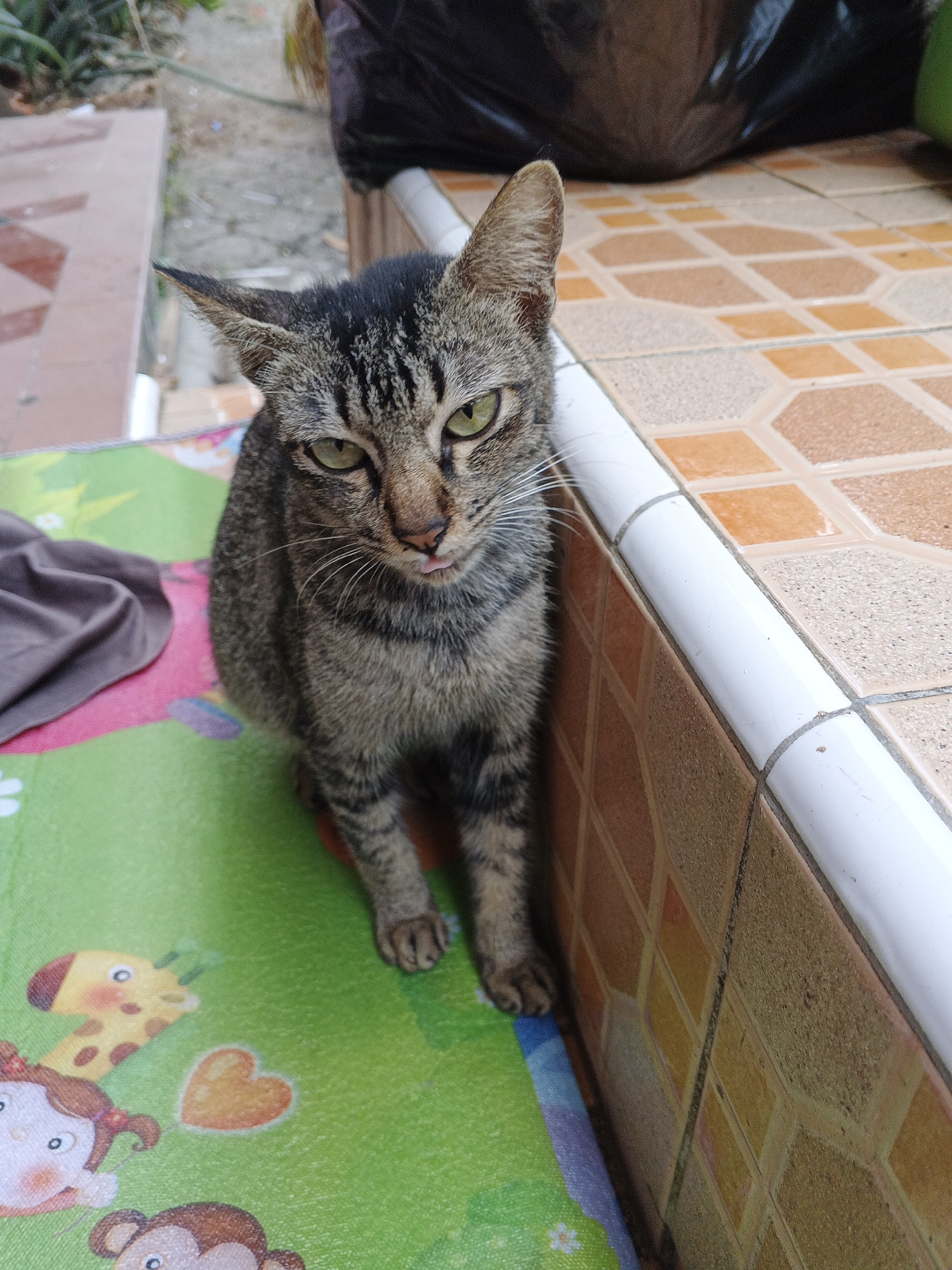A tabby cat with green eyes and a pink tongue sticking out is sitting on a green mat with cartoon animal prints. The cat is facing the camera and appears to be looking at it. To the right of the cat is a tiled wall and a white trim. In the background, there are some plants and a black bag. The mat has images of a giraffe, a heart, a girl with pigtails, and a monkey. The scene is outdoors, possibly on a porch or patio, in Warungkiara, Indonesia.