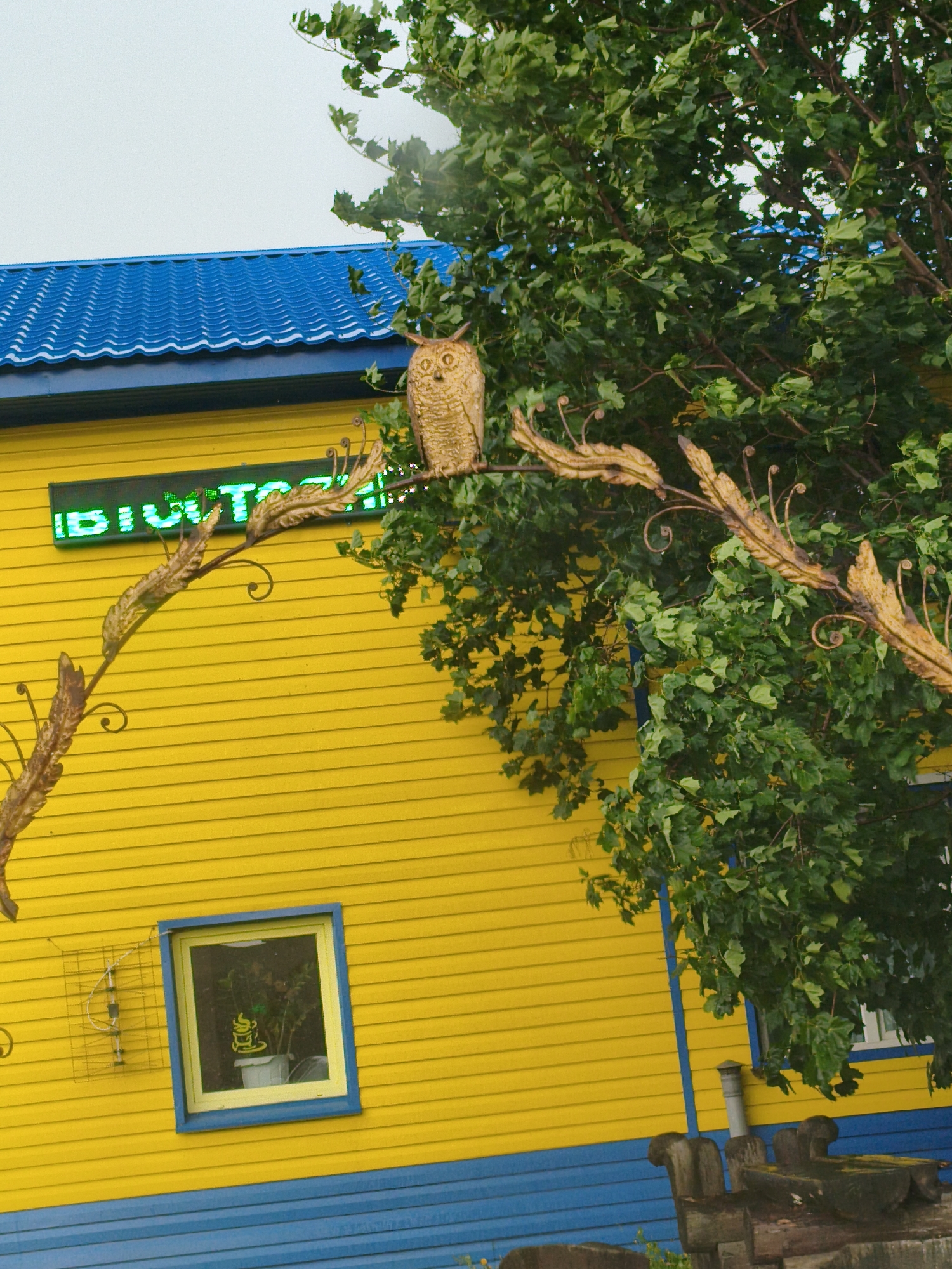 The image shows a bright yellow building with a blue roof and blue trim. There is a large green tree with dense foliage to the right of the building. An ornamental golden owl figurine is perched on a branch of the tree. Below the tree, on the yellow wall, is a green neon sign that reads "BIOTEST" and a small square window with a blue frame. Inside the window, a potted plant is visible. To the left of the window, a metal grid antenna is mounted on the wall. The building appears to be a commercial establishment. The overall scene suggests a warm, possibly sunny day, though the sky is overcast. The setting is likely outdoors in a public area in the city of Beryozovsky, Russia, given the context provided. There are no people visible in the image.