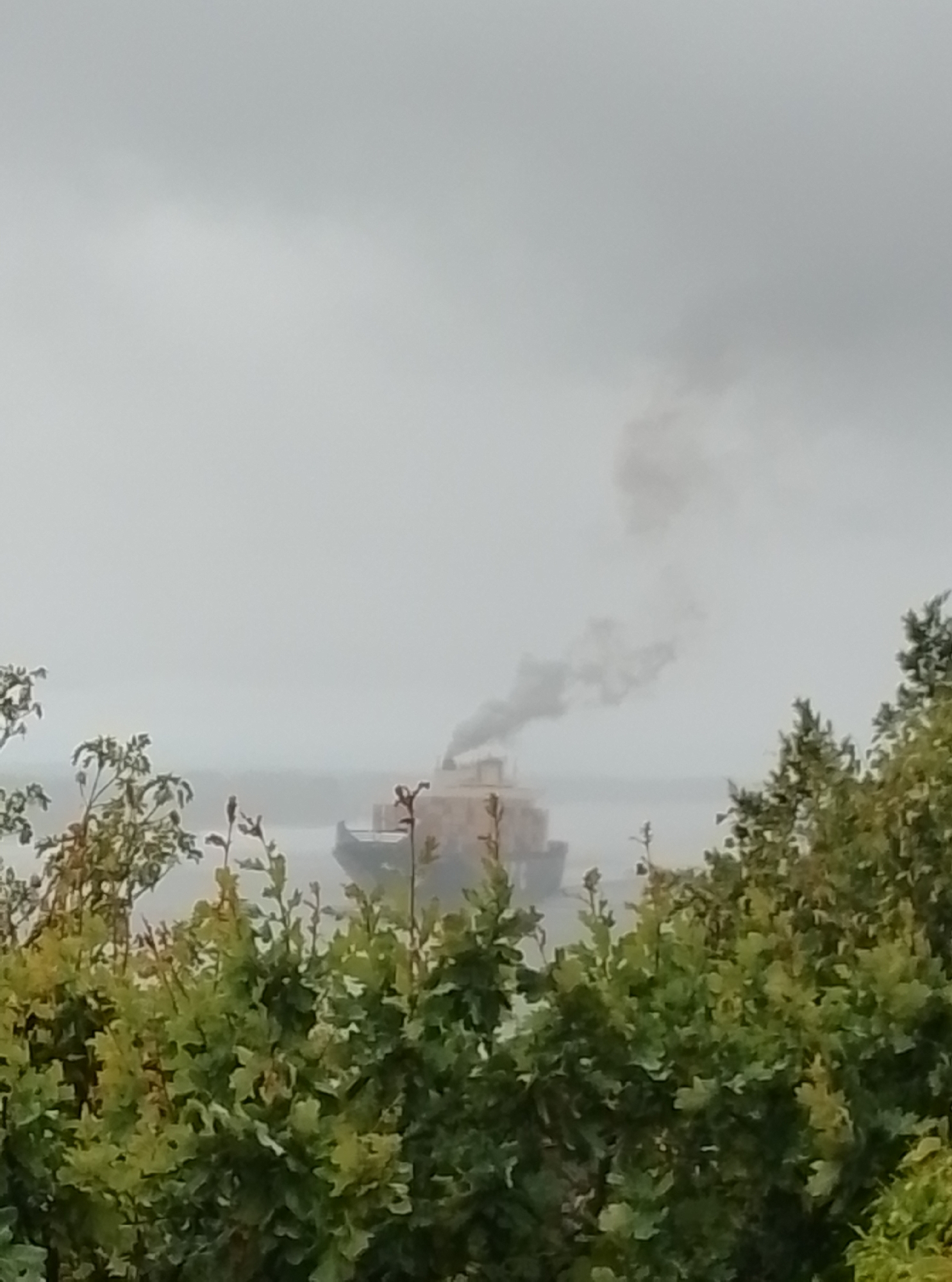 A large, industrial ship is seen on the water, emitting a thick plume of dark smoke from its smokestack. The ship is a light tan color and appears to be carrying cargo. The water is calm and a hazy, overcast sky dominates the background. In the foreground, lush green foliage, likely trees and bushes, obscures the lower portion of the scene. The overall atmosphere is muted and industrial.