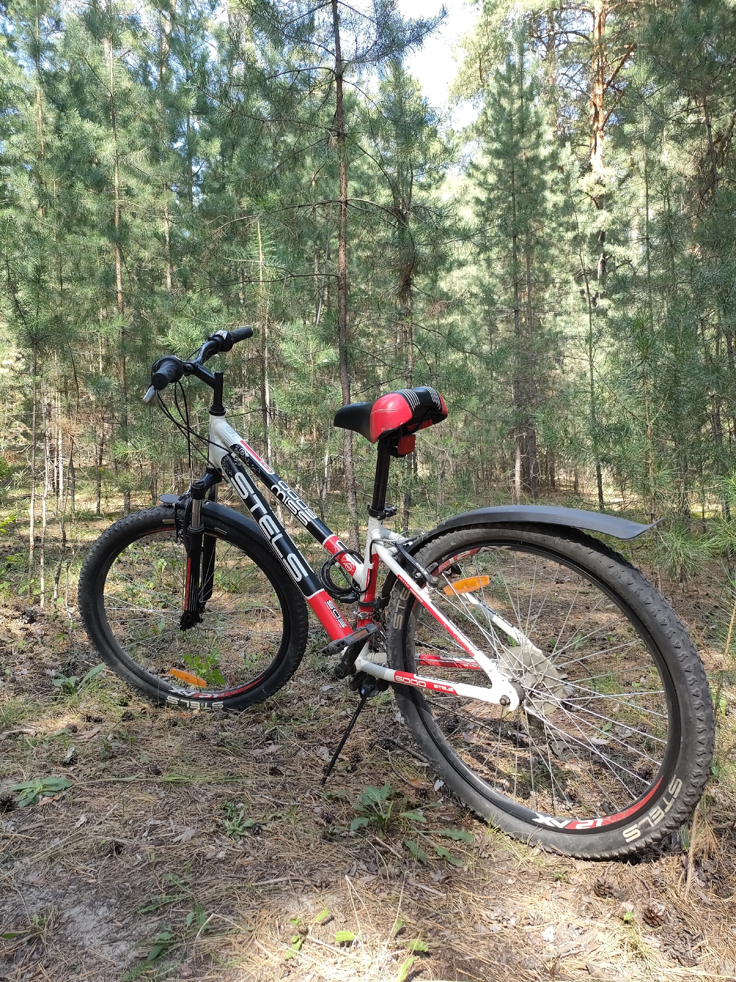 A Stels mountain bike with a white and red frame is parked on a pine needle-covered forest floor. The bike has black tires with red accents and a black and red seat. The front forks are black and red, and there is a black fender over the rear wheel. The bike is leaning on its kickstand. The background is a dense forest of tall pine trees. The lighting suggests it is daytime, with sunlight filtering through the trees. There are no people visible in the image. The location is described as Unknown, Unknown.