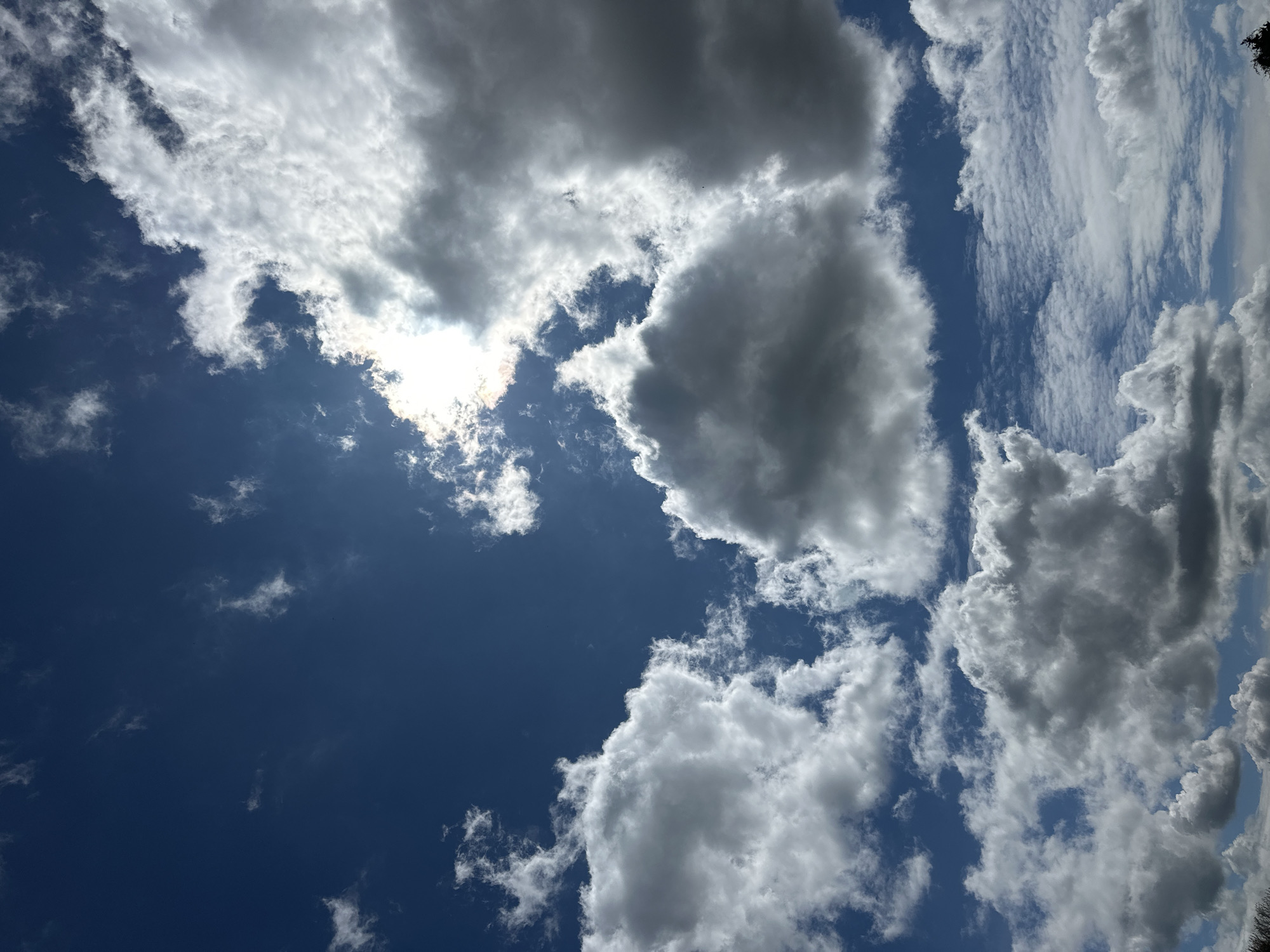 The image shows a daytime view of the sky with a combination of cumulus and cirrus clouds. The sky is a deep blue in areas not obscured by clouds. Patches of sunlight are visible through thinner sections of the clouds, suggesting a partly sunny day. The cloud formations vary in size and density, with some appearing fluffy and white, while others are darker gray, indicating potentially heavier moisture content. The photo is taken looking upward, capturing the dynamic cloudscape. There is no indication of Sandanski, Bulgaria or any specific location. There are no people visible in the picture.