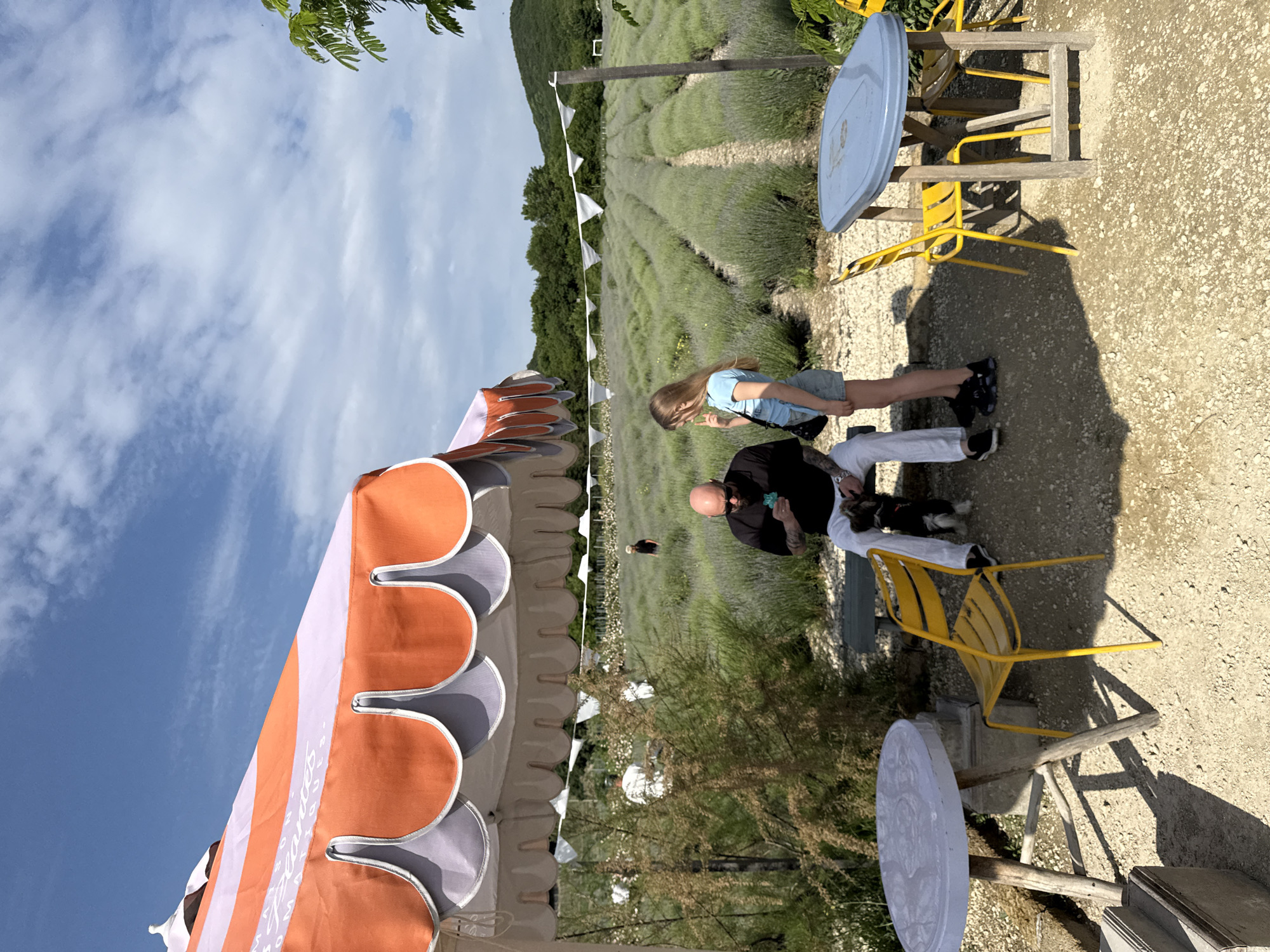 In Semogorskiy, Russia, a man with a shaved head and tattoos sits on a bench under an orange and purple striped umbrella, holding a small green object and looking at his phone. A young blonde girl stands next to him, also looking at her phone. In the background, rows of lavender stretch out into the distance, with several figures visible working amongst the plants. Two yellow chairs and a table are positioned in the foreground, as well as another table on the left. The scene is set on a sunny day with a blue sky and scattered clouds, with a wooded hillside in the background.