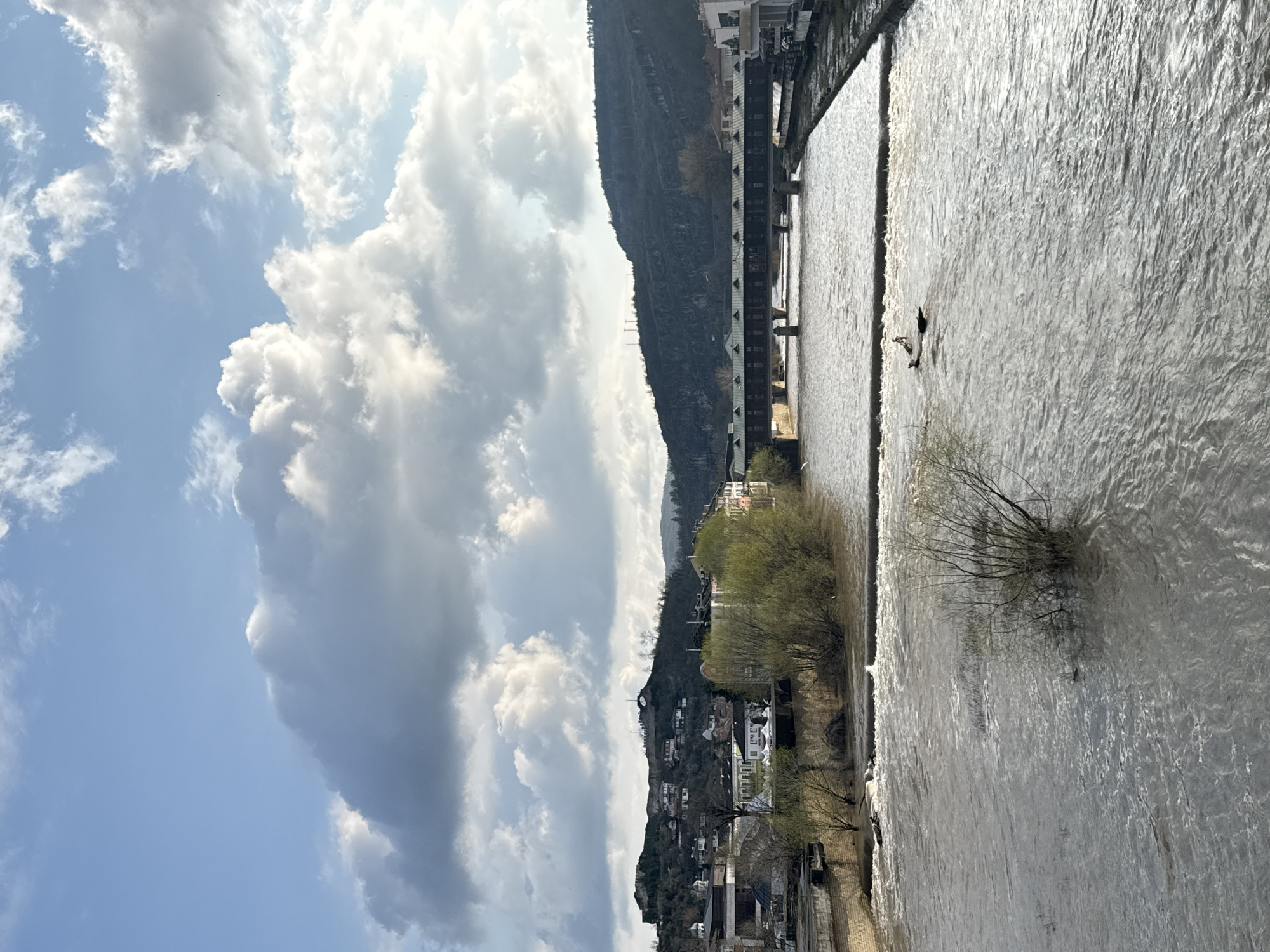 The scene is a vertical, daytime shot of the Osam River in Lovech, Bulgaria. The river flows from right to left in the frame. The water is light brown, textured with ripples and visible currents. Along the left bank of the river, there is a narrow strip of land where vegetation and buildings are seen. Further to the left, a hillside rises, covered with trees and houses. A few structures are visible along the river, including a long, multi-storied building with a series of windows. The sky is mostly filled with white clouds and patches of blue. Along the right bank of the river, plants or trees are visible, growing in or adjacent to the water.