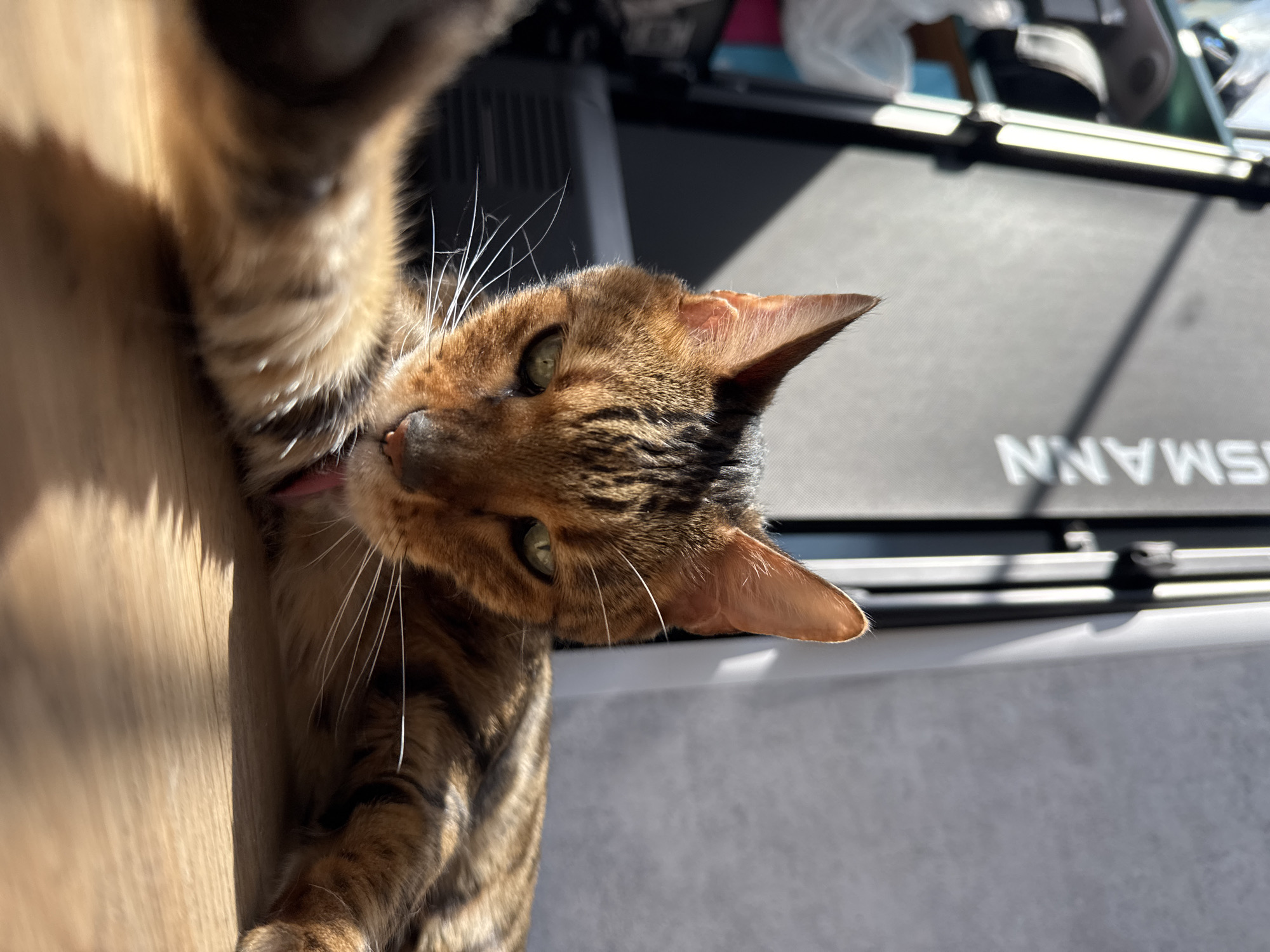 A close-up, angled shot captures a brown tabby cat lying on a wooden surface in a room. The cat's face, partially obscured by its raised paw, is in focus, with its mouth slightly open, tongue visible, and green eyes gazing upward. Sunlight illuminates the cat's fur and casts a shadow on the wooden surface. The background features a gray surface with indistinct white lettering, possibly part of a piece of equipment or furniture, and other blurred objects suggesting an indoor setting. The location and city are unspecified.