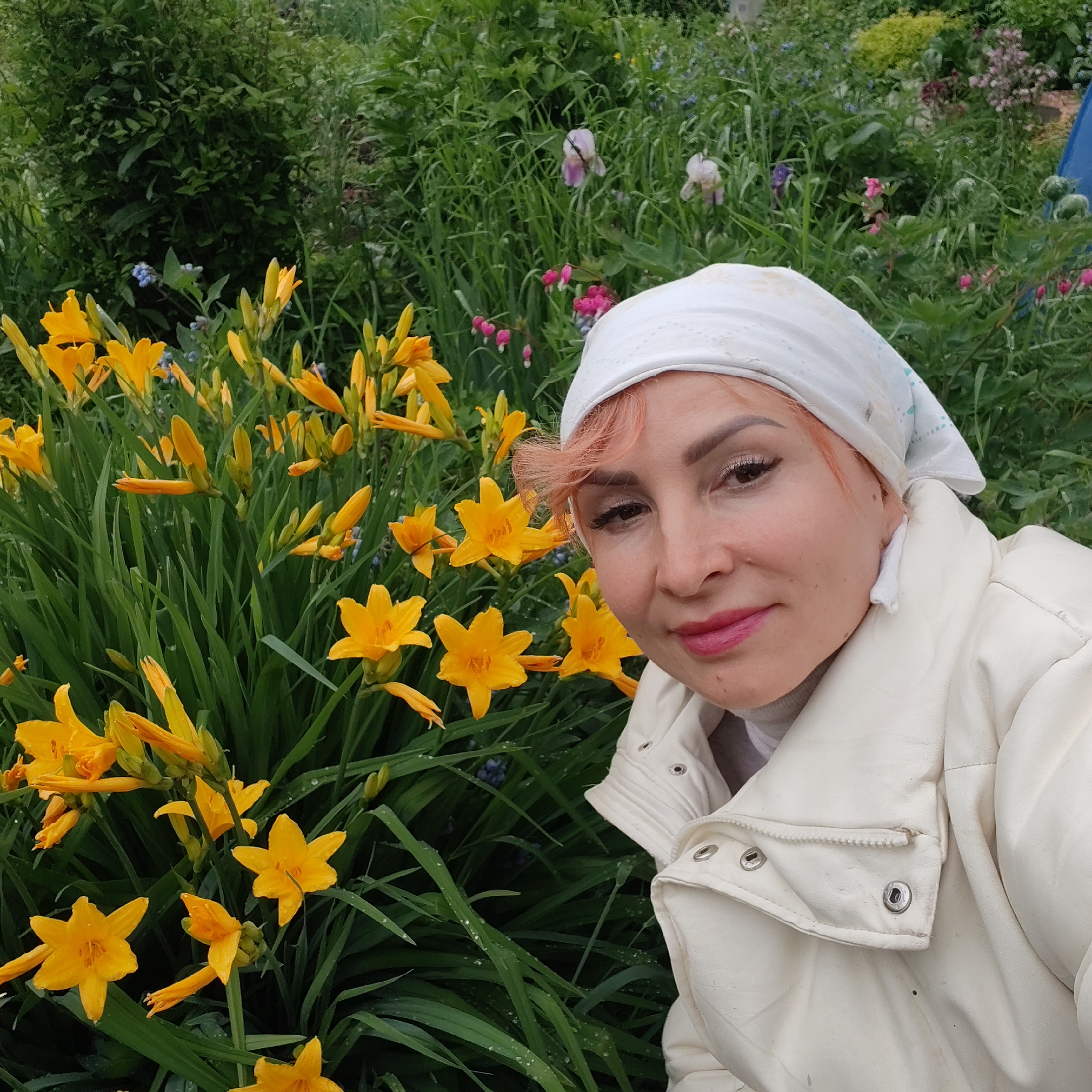 An adult female is captured in a close-up outdoor portrait, positioned in the right-center of the frame, within a lush garden setting in Chaikovsky, Russia. She wears a white headscarf with a subtle pattern and a white padded jacket, possibly faux leather, over a light-colored turtleneck. Her short hair, visible around her face, is dyed a light orange-pink hue. She has dark eyebrows, dark eyes with visible eyeliner and mascara, and pink lipstick. Her expression is a gentle smile, and she is looking directly at the camera.
The background is a dense display of vegetation and various flowering plants. Dominating the left and lower portions of the frame is a large cluster of vibrant yellow daylilies (Hemerocallis) with numerous open blossoms and buds. Small water droplets are visible on the green leaves of the daylilies and other foliage. Among the daylilies and in the mid-ground, smaller blue/purple flowers are scattered. Further back and to the right, several pink bleeding heart flowers (Lamprocapnos spectabilis) are visible, along with pale purple irises. The overall environment is a well-maintained, verdant garden with a variety of plant species. A small, indistinct blue object, possibly a tarp or part of a structure, is partially visible in the upper right corner of the background. The lighting suggests natural daylight.