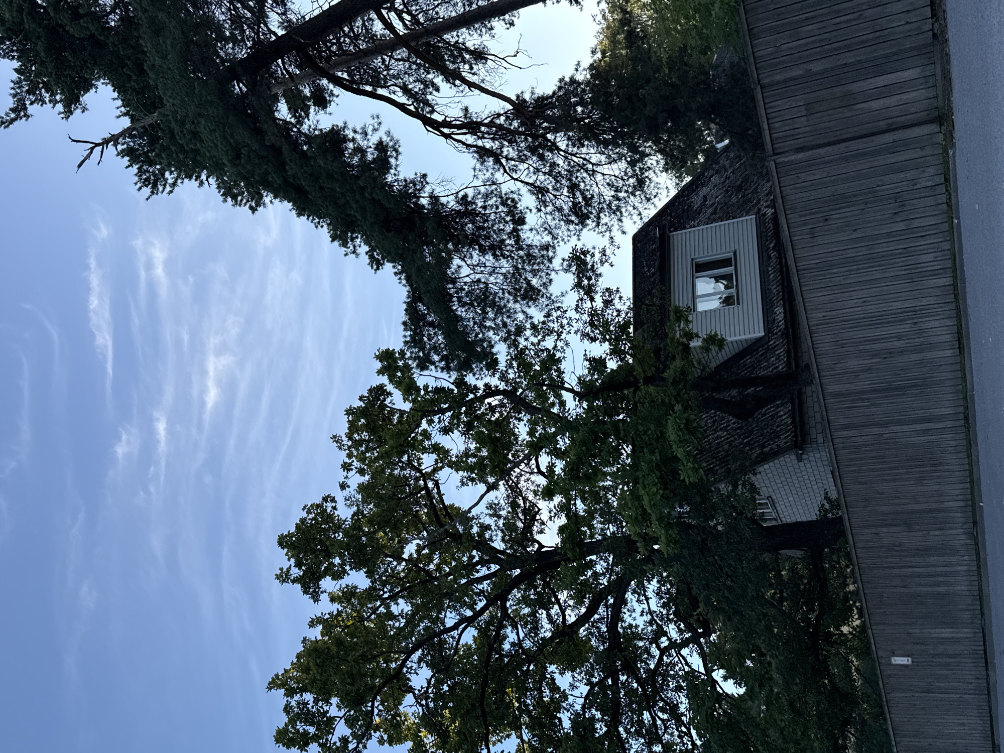 This is a low-angle outdoor shot of a wooden fence in front of a house with trees. The sky is blue with some wispy clouds. The house has a dark roof and light-colored siding. There is a window visible on the dormer. The fence is made of vertical wooden planks. The scene is likely in Tallinn, Estonia, given the architectural style and vegetation.