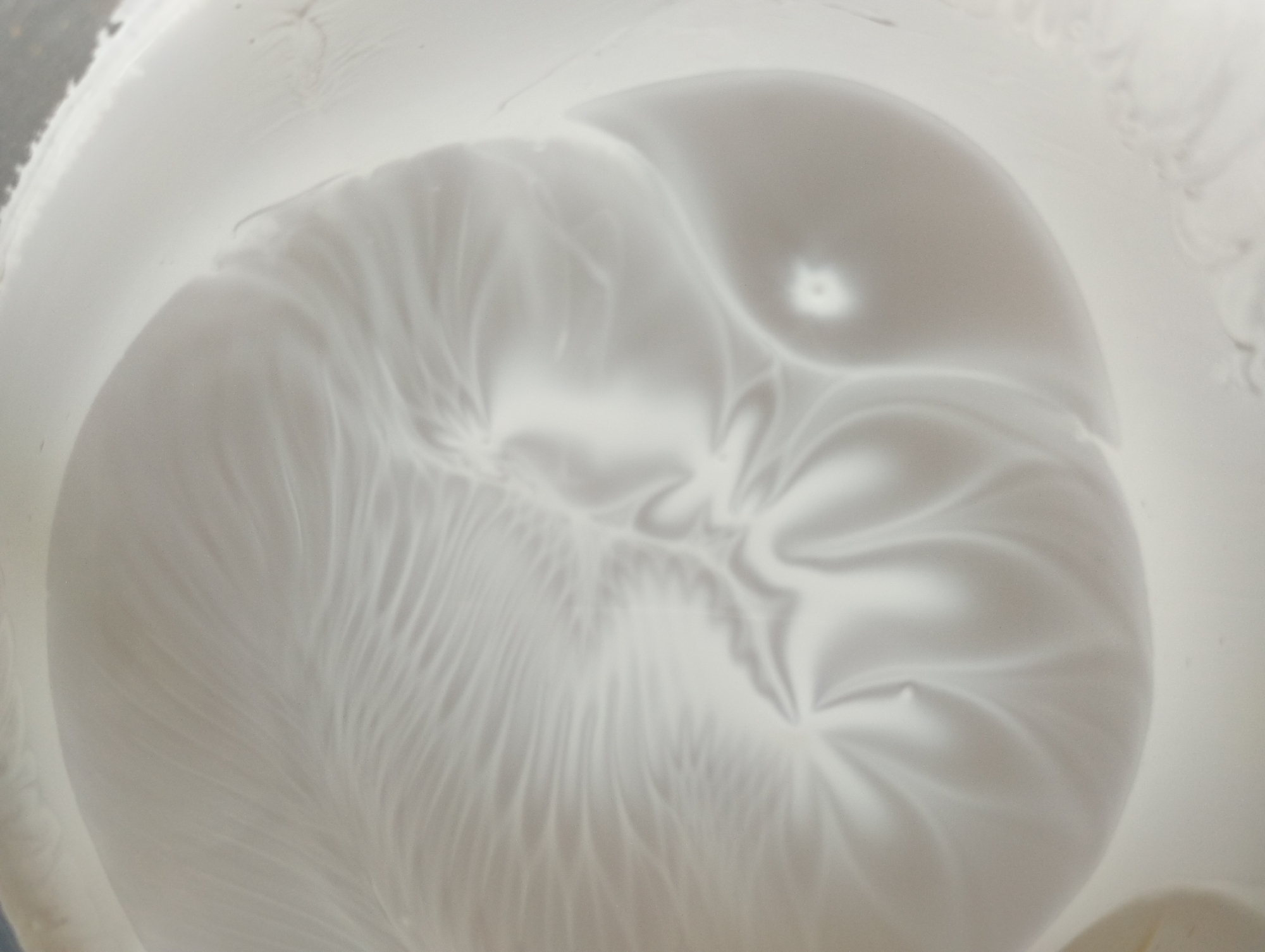 The image is a close-up, abstract shot of a white, textured surface that appears to be a liquid or semi-liquid substance with swirling patterns. The texture is uneven and appears to have raised and indented areas, creating a play of light and shadow. There are no discernible objects, people, or actions visible in the image. The location in San Pietro in Cariano, Italy, is not evident from the visual information provided.