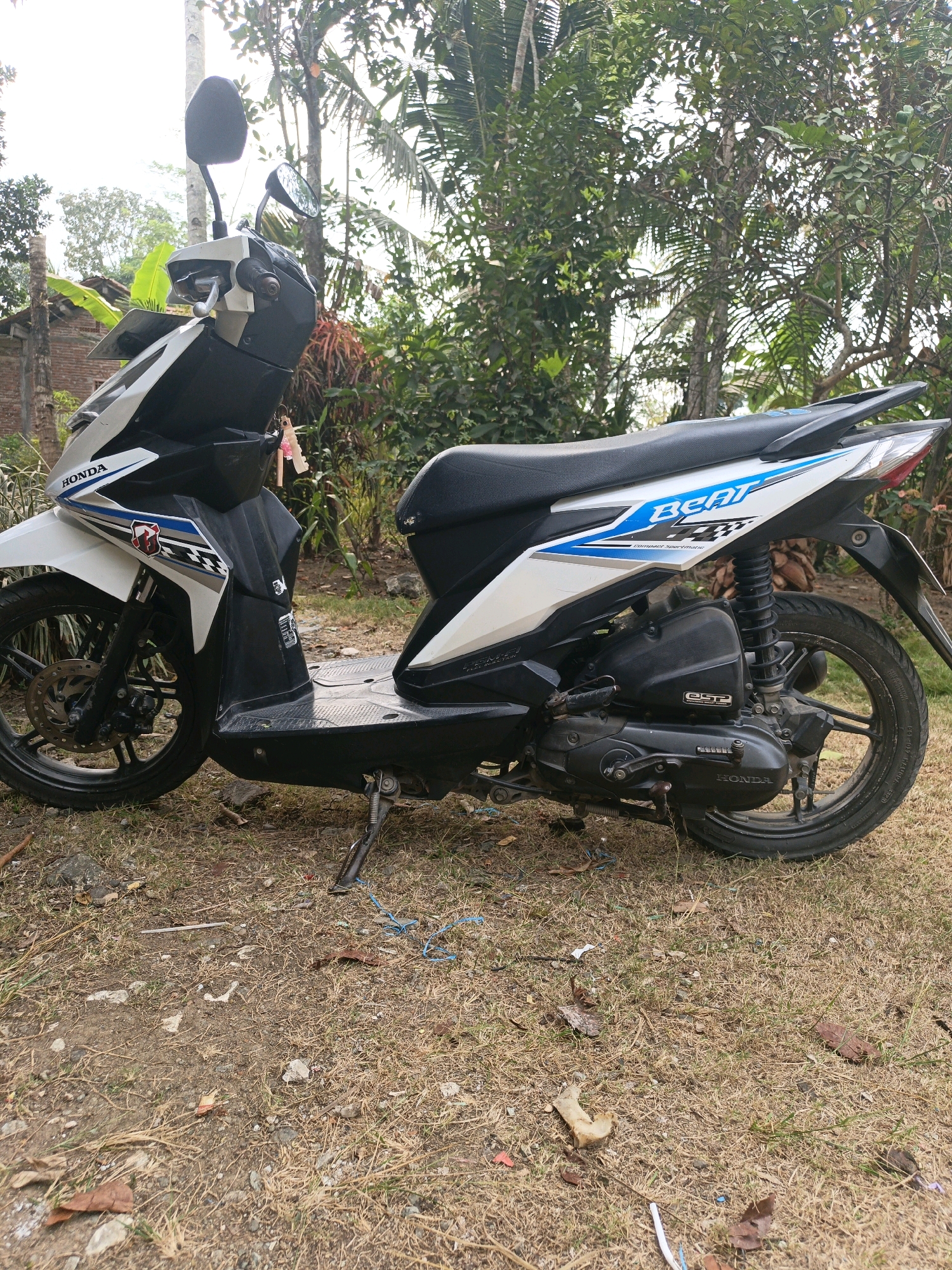 A white and black Honda Beat scooter is parked on a grassy area, likely in Sidomukti, Indonesia. The scooter is in profile view, with its kickstand down. The surrounding environment is lush with tropical foliage, including palm trees and other leafy plants. A red-brick building is visible in the background to the left. The ground is covered with dry grass, scattered leaves, and small rocks, suggesting a rural or semi-rural setting. There are no people visible in the image.