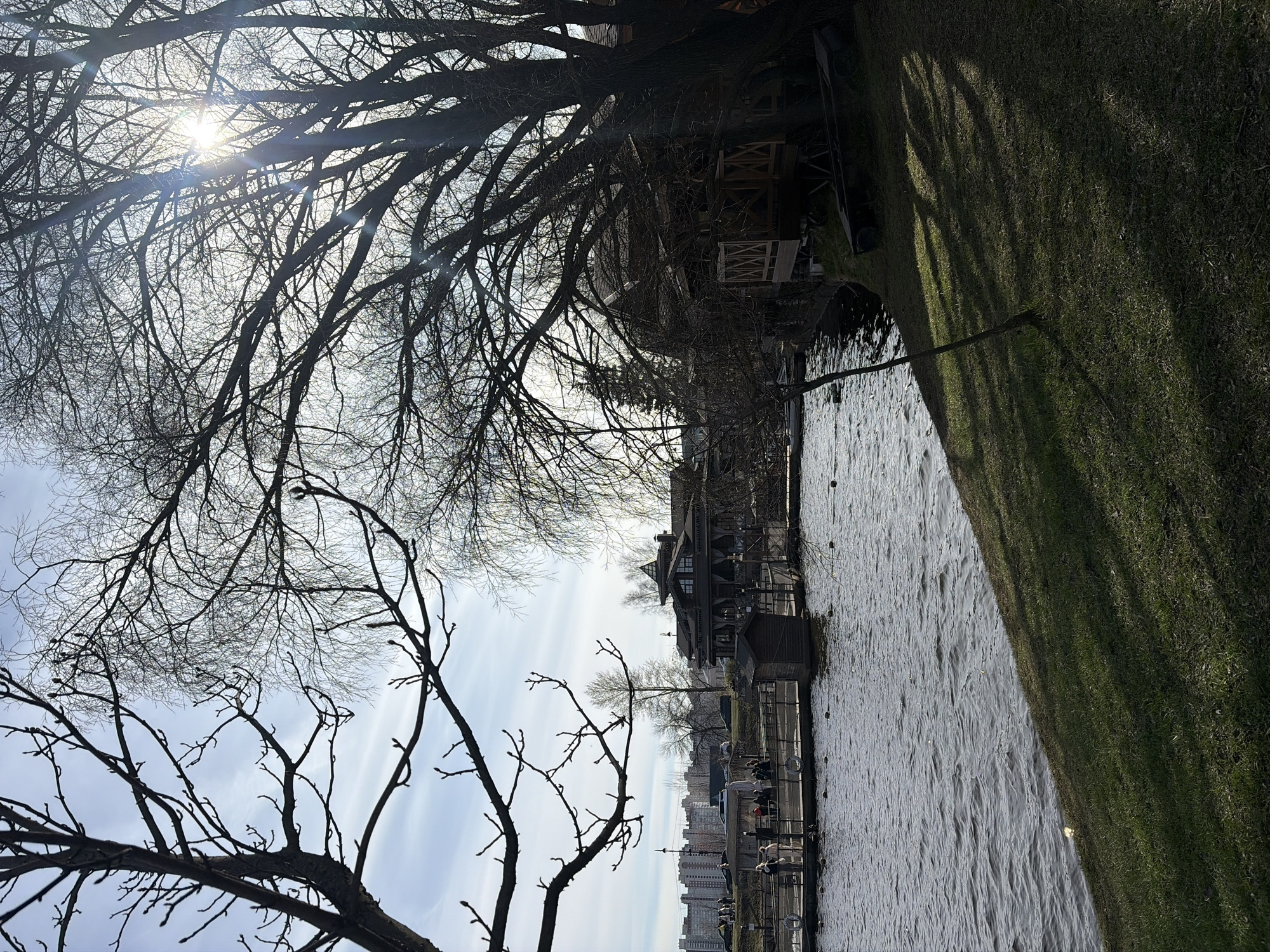 The image shows a waterside scene in Saint Petersburg, Russia. A body of water, possibly a canal or river, is bordered by a grassy bank on the right and a walkway with people along the water's edge on the left. Beyond the walkway, there are buildings including residential high-rises and a wooden architectural structure. Bare tree branches fill much of the upper portion of the frame, with the sun visible through the branches in the upper left. The scene is cast in soft light, suggesting it is early morning or late afternoon. People are present along the walkway, seemingly engaged in leisurely activities or simply enjoying the view.
