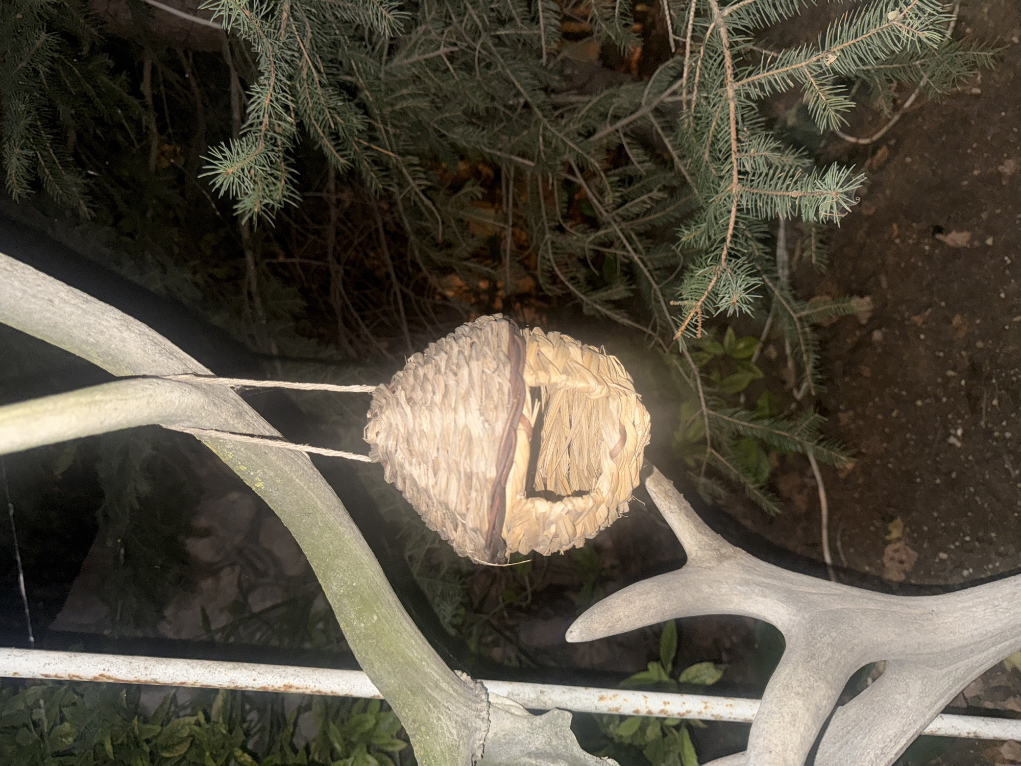 A rustic, woven birdhouse hangs from a tree branch by twine. The birdhouse is conical in shape with an opening on one side. In the foreground, a large deer antler is visible, positioned at an angle. The background consists of dark foliage and tree branches, suggesting an outdoor environment at night. The location is identified as Balaklavsky District, Ukraine.