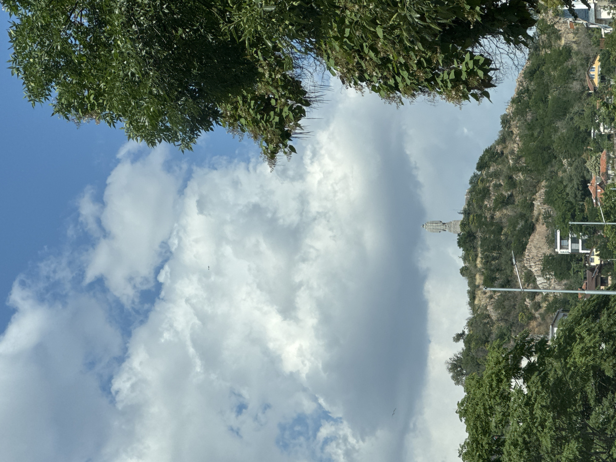 This is a medium-shot, eye-level outdoor photograph taken on a cloudy day in Plovdiv, Bulgaria. The image features a large, stone statue of a standing figure, presumably a monument, positioned atop a lush, green, and rocky hill. The statue is the focal point, centrally located on the crest of the hill. The surrounding landscape is characterized by dense vegetation, trees, and shrubs covering the slopes of the hill. In the foreground and lower part of the image, several buildings are visible, including residential houses with red-tiled roofs and modern structures with white and black facades. A street light pole is also present in the mid-ground. The sky above is a mix of blue patches and large, dramatic white and grey clouds. Two small dark shapes, possibly birds or distant aircraft, are visible in the sky. A large, leafy green tree with hanging seed pods dominates the right side of the frame, partially obscuring the view of the hill and sky. The overall impression is one of a historical monument situated within a natural, verdant environment overlooking a residential area, under a dynamic sky.