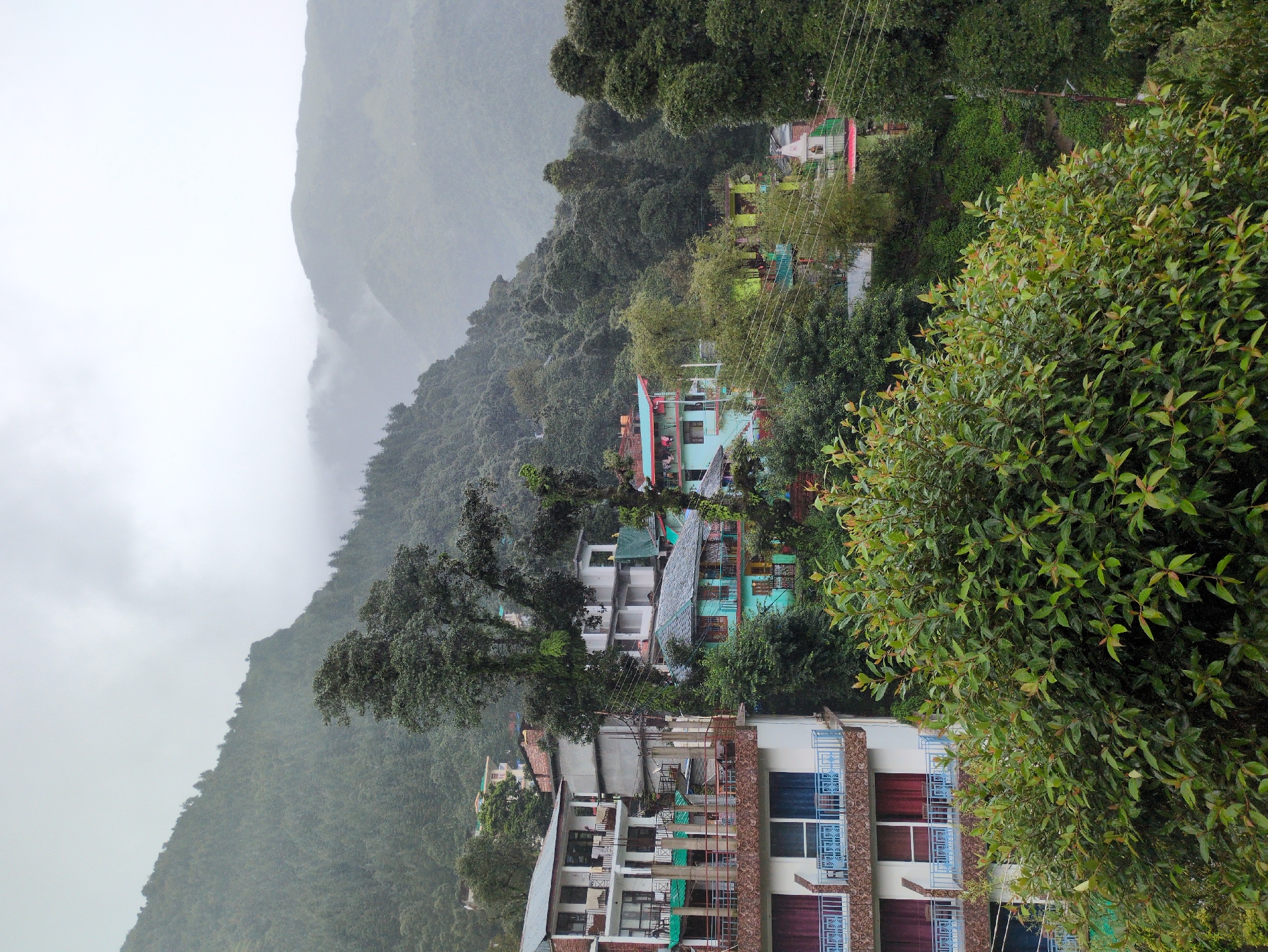 The image depicts a mountainous landscape in the city of Dharamshala, India, under an overcast sky. In the foreground, dense green foliage is visible. Behind the foliage, several multi-story buildings with balconies and colorful facades are nestled into the hillside. The buildings appear to be hotels or guesthouses, with some displaying red and blue railings on their balconies. The architecture suggests a tropical or subtropical climate. The background is dominated by a lush, forested mountain range, partially obscured by mist and clouds, indicating a humid atmosphere. Power lines are also visible, strung between the buildings and the natural landscape. The scene conveys a sense of a remote, hillside settlement amidst a verdant and mountainous environment.