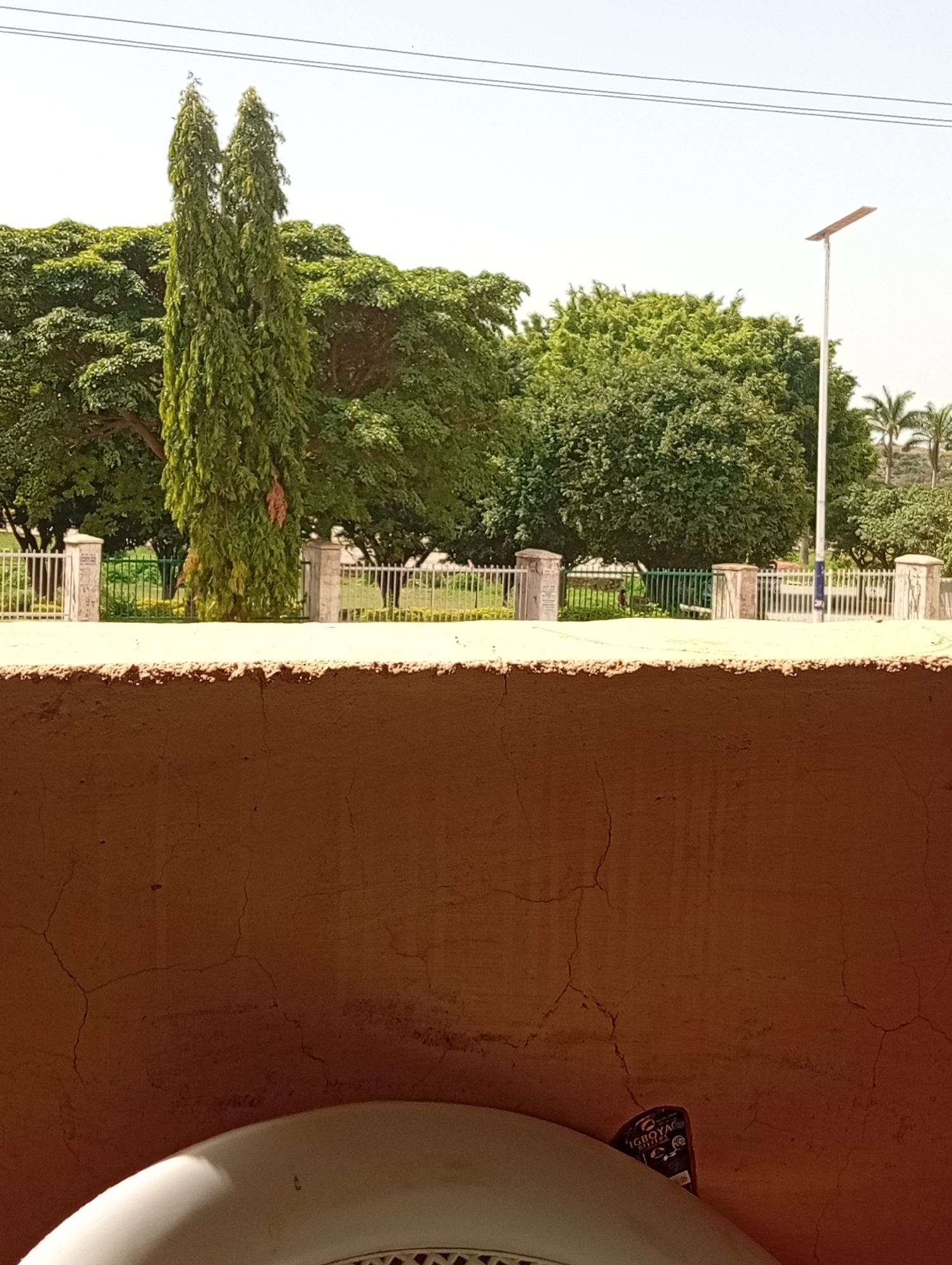 The image, likely taken from an elevated position in Jos, Nigeria, shows a partially obscured view of a park across a cracked, brown wall. Dominating the midground are lush green trees, including two tall, slender trees flanking a larger canopy. A section of a decorative metal fence separates the viewer from the park. A modern streetlight stands to the right of the trees. In the foreground, a portion of a white plastic object, possibly a chair, is visible. A package, labeled "Igboyag," is located near the object. The sky appears bright and clear.