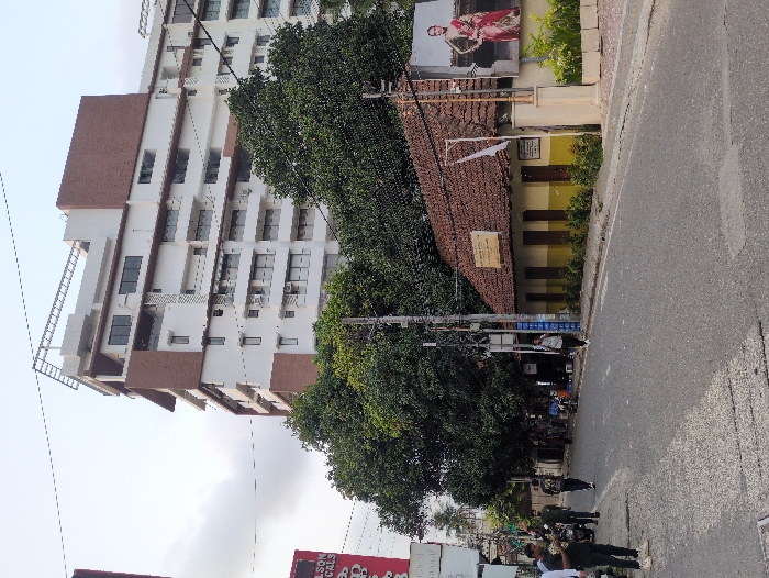 The image depicts a street scene on Market Road in Ernakulam, India, under an overcast sky. An asphalt road occupies the foreground. On the right side of the road, a single-story building with a reddish-brown clay tiled roof and two-tone yellow and beige painted walls is visible, bearing a sign that identifies it as "GOVERNMENT L.P. SCHOOL, MARKET ROAD." Adjacent to this building on the far right is a large vertical billboard displaying a woman in a red and gold saree. Behind the school and extending towards the left are multiple large, leafy green trees. Dominating the background is a multi-story modern building with white facades and prominent brown paneling, featuring numerous windows and balconies, with a metal framework visible on its rooftop. Overhead, a dense network of utility wires spans across multiple poles. On the left sidewalk, a group of approximately six individuals is present, including a man in a dark shirt and light trousers holding a mobile phone in the immediate foreground. A partial red commercial sign displaying "SON MEDICALS" is visible on the far left. On the right sidewalk, a single individual in a light-colored shirt is observed walking away from the viewer.